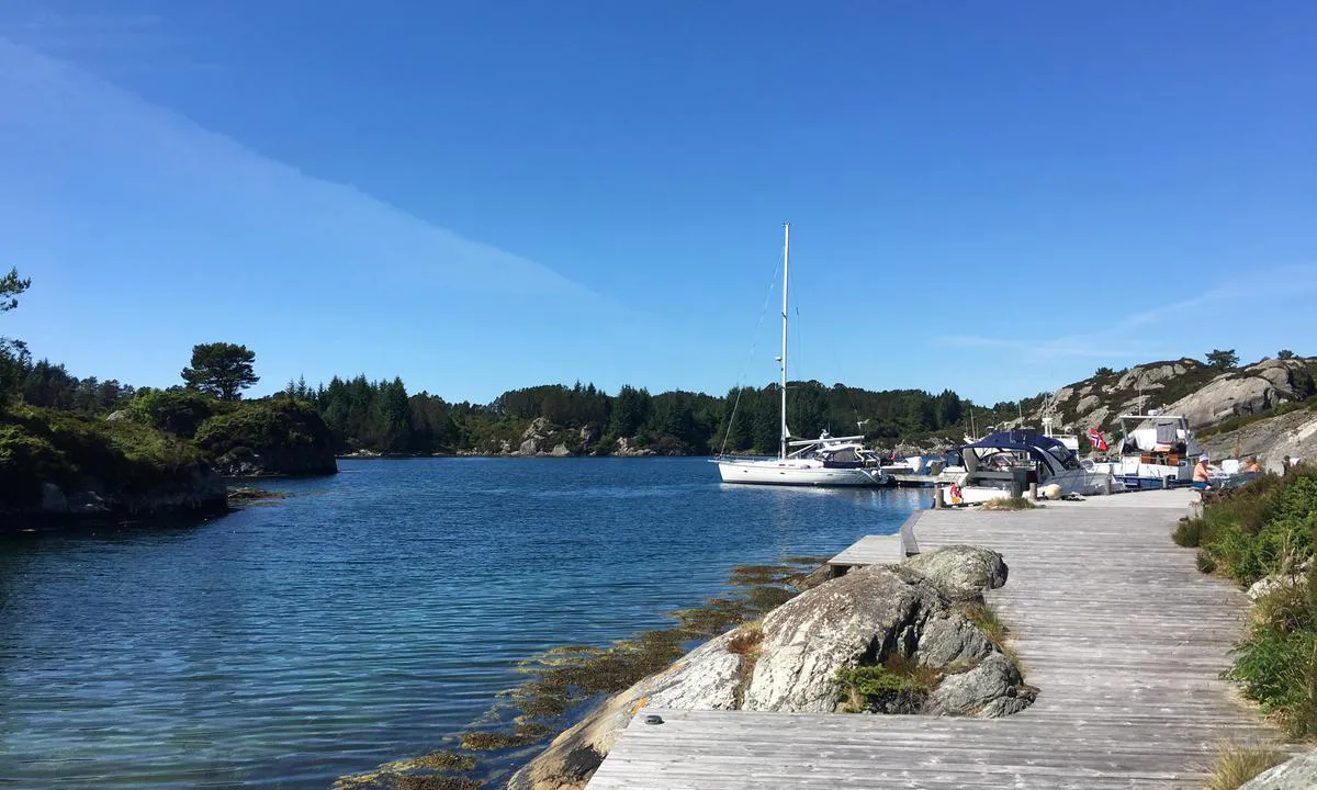 Nordre Navøyvågen: {"base": "no", "no": "Tatt fra benken ved badevik", "se": "Tagen fr\u00e5n b\u00e4nken vid badviken", "en": "Taken from the bench by the bathing bay", "da": "Tatt fra b\u00e6nken ved badebugten"}