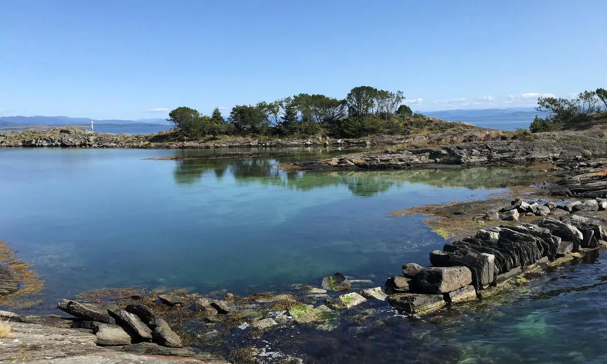 {"base": "no", "no": "P\u00e5 Nordre V\u00e5gholmen, like s\u00f8r for Austre Bokn, finner du Hummerparken, som er et spennende, lite friluftsomr\u00e5de og lagune med krittkvit sand. P\u00e5 1800-tallet ble det eksportert store mengder hummer fra Norde V\u00e5gholmen, og hummeren ble oppbevart i lagunen s\u00f8r p\u00e5 \u00f8ya fram til utskipning. I dag ser du rester etter hummerhandelen b\u00e5de i s\u00f8r og nord p\u00e5 \u00f8ya, i form av tufter og murer.", "se": "P\u00e5 Nordre V\u00e5gholmen, precis s\u00f6der om Austre Bokn, hittar du Hummerparken, vilket \u00e4r ett sp\u00e4nnande, litet friluftsomr\u00e5de och en lagun med kritvit sand. P\u00e5 1800-talet exporterades stora m\u00e4ngder hummer fr\u00e5n Nordre V\u00e5gholmen, och hummern f\u00f6rvarades i lagunen s\u00f6der p\u00e5 \u00f6n fram till utskeppning. Idag ser du rester av hummerhandeln b\u00e5de i s\u00f6dra och norra delen av \u00f6n, i form av ruiner och murar.", "en": "On Nordre V\u00e5gholmen, just south of Austre Bokn, you will find the Lobster Park, which is an exciting little outdoor area and lagoon with chalk-white sand. In the 19th century, large quantities of lobster were exported from Nordre V\u00e5gholmen, and the lobster was stored in the lagoon on the south side of the island until shipment. Today, you can see remnants of the lobster trade both in the south and north of the island, in the form of ruins and walls.", "da": "P\u00e5 Nordre V\u00e5gholmen, lige syd for Austre Bokn, finder du Hummerparken, som er et sp\u00e6ndende, lille friluftsomr\u00e5de og lagune med kridhvid sand. I det 19. \u00e5rhundrede blev store m\u00e6ngder hummer eksporteret fra Nordre V\u00e5gholmen, og hummerne blev opbevaret i lagunen syd p\u00e5 \u00f8en indtil udsendelse. I dag ser du rester efter hummerhandelen b\u00e5de i syd og nord p\u00e5 \u00f8en, i form af tufter og mure.", "fr": "Sur Nordre V\u00e5gholmen, juste au sud de Austre Bokn, vous trouverez Hummerparken, qui est une petite zone de loisirs passionnante et lagune avec du sable blanc crayeux. Au 19\u00e8me si\u00e8cle, de grandes quantit\u00e9s de homards ont \u00e9t\u00e9 export\u00e9es de Nordre V\u00e5gholmen, et les homards \u00e9taient stock\u00e9s dans la lagune au sud de l'\u00eele jusqu'\u00e0 leur exp\u00e9dition. Aujourd'hui, vous pouvez voir des vestiges du commerce du homard \u00e0 la fois au sud et au nord de l'\u00eele, sous forme de fondations et de murs.", "de": "Auf Nordre V\u00e5gholmen, direkt s\u00fcdlich von Austre Bokn, finden Sie den Hummerpark, der ein spannendes, kleines Freiluftgebiet und eine Lagune mit kreidewei\u00dfem Sand ist. Im 19. Jahrhundert wurden gro\u00dfe Mengen an Hummer von Nordre V\u00e5gholmen exportiert und die Hummer wurden in der Lagune im S\u00fcden der Insel bis zum Versand gelagert. Heute sieht man \u00dcberreste des Hummerhandels sowohl im S\u00fcden als auch im Norden der Insel in Form von Fundamenten und Mauern.", "es": "En Nordre V\u00e5gholmen, justo al sur de Austre Bokn, encontrar\u00e1s Hummerparken, que es una emocionante peque\u00f1a \u00e1rea recreativa y laguna con arena blanca como el alabastro. En el siglo XIX, se exportaban grandes cantidades de langosta desde Norde V\u00e5gholmen, y las langostas se guardaban en la laguna al sur de la isla hasta su embarque. Hoy en d\u00eda, puedes ver restos del comercio de langostas tanto en el sur como en el norte de la isla, en forma de ruinas y muros.", "it": "Su Nordre V\u00e5gholmen, appena a sud di Austre Bokn, troverai Hummerparken, che \u00e8 una piccola e affascinante area all\u2019aperto e laguna con sabbia bianca come il gesso. Nel 1800 furono esportate grandi quantit\u00e0 di aragoste da Nordre V\u00e5gholmen, e le aragoste venivano conservate nella laguna a sud dell'isola fino alla spedizione. Oggi puoi vedere resti del commercio di aragoste sia a sud che a nord dell'isola, sotto forma di rovine e mura.", "pt": "Em Nordre V\u00e5gholmen, bem ao sul de Austre Bokn, voc\u00ea encontrar\u00e1 o Hummerparken, que \u00e9 uma pequena e emocionante \u00e1rea ao ar livre e uma lagoa com areia branca como giz. No s\u00e9culo 19, grandes quantidades de lagosta foram exportadas de Norde V\u00e5gholmen, e as lagostas eram armazenadas na lagoa ao sul da ilha at\u00e9 serem embarcadas. Hoje, voc\u00ea pode ver vest\u00edgios do com\u00e9rcio de lagosta tanto no sul quanto no norte da ilha, na forma de ru\u00ednas e muros.", "nl": "Op Nordre V\u00e5gholmen, net ten zuiden van Austre Bokn, vind je Hummerparken, een spannend, klein natuurgebied en lagune met krijtwit zand. In de 19e eeuw werd er grote hoeveelheden kreeft ge\u00ebxporteerd vanaf Nordre V\u00e5gholmen, en de kreeften werden opgeslagen in de lagune in het zuiden van het eiland tot ze werden verscheept. Vandaag de dag zie je resten van de kreefthandel zowel in het zuiden als in het noorden van het eiland, in de vorm van fundamenten en muren.", "pl": "Na Nordre V\u00e5gholmen, tu\u017c na po\u0142udnie od Austre Bokn, znajduje si\u0119 Hummerparken, kt\u00f3re jest ciekawym, ma\u0142ym terenem rekreacyjnym i lagun\u0105 z kredowobia\u0142ym piaskiem. W XIX wieku eksportowano du\u017ce ilo\u015bci homar\u00f3w z Nordre V\u00e5gholmen, a homary przechowywano w lagunie na po\u0142udniu wyspy przed wysy\u0142k\u0105. Dzi\u015b mo\u017cna zobaczy\u0107 pozosta\u0142o\u015bci po handlu homarami zar\u00f3wno na po\u0142udniu, jak i na p\u00f3\u0142nocy wyspy, w postaci ruin i mur\u00f3w.", "uk": "\u041d\u0430 \u041d\u043e\u0440\u0434\u0440\u0435 \u0412\u043e\u0433\u0433\u043e\u043b\u044c\u043c\u0435\u043d, \u0442\u0440\u043e\u0445\u0438 \u043f\u0456\u0432\u0434\u0435\u043d\u043d\u0456\u0448\u0435 \u0432\u0456\u0434 \u0410\u0443\u0441\u0442\u0440\u0435 \u0411\u043e\u043a\u043d, \u0432\u0438 \u0437\u043d\u0430\u0439\u0434\u0435\u0442\u0435 \u0425\u0430\u043c\u043c\u0435\u0440\u043f\u0430\u0440\u043a\u0435\u043d, \u0449\u043e \u0454 \u0437\u0430\u0445\u043e\u043f\u043b\u044e\u044e\u0447\u043e\u044e, \u043c\u0430\u043b\u0435\u043d\u044c\u043a\u043e\u044e \u0432\u0456\u0434\u043a\u0440\u0438\u0442\u043e\u044e \u0442\u0435\u0440\u0438\u0442\u043e\u0440\u0456\u0454\u044e \u0442\u0430 \u043b\u0430\u0433\u0443\u043d\u043e\u044e \u0437 \u043a\u0440\u0435\u0439\u0434\u044f\u043d\u0438\u043c \u0431\u0456\u043b\u0438\u043c \u043f\u0456\u0441\u043a\u043e\u043c. \u0423 1800-\u0445 \u0440\u043e\u043a\u0430\u0445 \u0437 \u041d\u043e\u0440\u0434\u0440\u0435 \u0412\u043e\u0433\u0433\u043e\u043b\u044c\u043c\u0435\u043d \u0435\u043a\u0441\u043f\u043e\u0440\u0442\u0443\u0432\u0430\u043b\u0438 \u0432\u0435\u043b\u0438\u043a\u0456 \u043a\u0456\u043b\u044c\u043a\u043e\u0441\u0442\u0456 \u043e\u043c\u0430\u0440\u0456\u0432, \u044f\u043a\u0438\u0445 \u0437\u0431\u0435\u0440\u0456\u0433\u0430\u043b\u0438 \u0432 \u043b\u0430\u0433\u0443\u043d\u0456 \u043d\u0430 \u043f\u0456\u0432\u0434\u043d\u0456 \u043e\u0441\u0442\u0440\u043e\u0432\u0430 \u0434\u043e \u0432\u0456\u0434\u043f\u0440\u0430\u0432\u043a\u0438. \u0421\u044c\u043e\u0433\u043e\u0434\u043d\u0456 \u0432\u0438 \u043c\u043e\u0436\u0435\u0442\u0435 \u043f\u043e\u0431\u0430\u0447\u0438\u0442\u0438 \u0437\u0430\u043b\u0438\u0448\u043a\u0438 \u0432\u0456\u0434 \u0442\u043e\u0440\u0433\u0456\u0432\u043b\u0456 \u043e\u043c\u0430\u0440\u0430\u043c\u0438 \u044f\u043a \u043d\u0430 \u043f\u0456\u0432\u0434\u043d\u0456, \u0442\u0430\u043a \u0456 \u043d\u0430 \u043f\u0456\u0432\u043d\u043e\u0447\u0456 \u043e\u0441\u0442\u0440\u043e\u0432\u0430 \u0443 \u0432\u0438\u0433\u043b\u044f\u0434\u0456 \u0440\u0443\u0457\u043d \u0456 \u043c\u0443\u0440\u0456\u0432.", "ro": "Pe Nordre V\u00e5gholmen, chiar la sud de Austre Bokn, g\u0103se\u0219ti Hummerparken, un mic \u0219i interesant parc natural \u0219i lagun\u0103 cu nisip alb ca varul. \u00cen secolul al XIX-lea, cantit\u0103\u021bi mari de homari erau exportate de pe Nordre V\u00e5gholmen, iar homarii erau depozita\u021bi \u00een laguna din sudul insulei p\u00e2n\u0103 la expediere. Ast\u0103zi, po\u021bi vedea resturi ale comer\u021bului cu homari at\u00e2t \u00een sudul, c\u00e2t \u0219i \u00een nordul insulei, sub form\u0103 de ruine \u0219i ziduri.", "tr": "Nordre V\u00e5gholmen'de, Austre Bokn'un hemen g\u00fcneyinde, heyecan verici, k\u00fc\u00e7\u00fck bir a\u00e7\u0131k alan ve tebe\u015fir beyaz\u0131 kumlu bir lag\u00fcn olan Hummerparken'i bulacaks\u0131n\u0131z. 1800'lerde, Nordre V\u00e5gholmen'den b\u00fcy\u00fck miktarda \u0131stakoz ihra\u00e7 edilirdi ve \u0131stakozlar adan\u0131n g\u00fcneyindeki lag\u00fcnde sevkiyata kadar saklan\u0131rd\u0131. Bug\u00fcn, adan\u0131n hem g\u00fcneyinde hem de kuzeyinde, \u0131stakoz ticaretinin kal\u0131nt\u0131lar\u0131n\u0131, temel ta\u015flar\u0131 ve duvarlar \u015feklinde g\u00f6rebilirsiniz.", "el": "\u03a3\u03c4\u03bf Nordre V\u00e5gholmen, \u03b1\u03ba\u03c1\u03b9\u03b2\u03ce\u03c2 \u03bd\u03cc\u03c4\u03b9\u03b1 \u03b1\u03c0\u03cc \u03c4\u03bf Austre Bokn, \u03b8\u03b1 \u03b2\u03c1\u03b5\u03af\u03c4\u03b5 \u03c4\u03bf Hummerparken, \u03c0\u03bf\u03c5 \u03b5\u03af\u03bd\u03b1\u03b9 \u03bc\u03b9\u03b1 \u03c3\u03c5\u03bd\u03b1\u03c1\u03c0\u03b1\u03c3\u03c4\u03b9\u03ba\u03ae, \u03bc\u03b9\u03ba\u03c1\u03ae \u03c5\u03c0\u03b1\u03b9\u03b8\u03c1\u03b9\u03ce\u03b4\u03b7\u03c2 \u03c0\u03b5\u03c1\u03b9\u03bf\u03c7\u03ae \u03ba\u03b1\u03b9 \u03bb\u03b9\u03bc\u03bd\u03bf\u03b8\u03ac\u03bb\u03b1\u03c3\u03c3\u03b1 \u03bc\u03b5 \u03bb\u03b5\u03c5\u03ba\u03ae \u03ac\u03bc\u03bc\u03bf. \u03a4\u03bf\u03bd 19\u03bf \u03b1\u03b9\u03ce\u03bd\u03b1 \u03b5\u03be\u03ac\u03b3\u03bf\u03bd\u03c4\u03b1\u03bd \u03bc\u03b5\u03b3\u03ac\u03bb\u03b5\u03c2 \u03c0\u03bf\u03c3\u03cc\u03c4\u03b7\u03c4\u03b5\u03c2 \u03b1\u03c3\u03c4\u03b1\u03ba\u03bf\u03cd \u03b1\u03c0\u03cc \u03c4\u03bf Nordre V\u00e5gholmen, \u03ba\u03b1\u03b9 \u03bf\u03b9 \u03b1\u03c3\u03c4\u03b1\u03ba\u03bf\u03af \u03b1\u03c0\u03bf\u03b8\u03b7\u03ba\u03b5\u03cd\u03bf\u03bd\u03c4\u03b1\u03bd \u03c3\u03c4\u03b7 \u03bb\u03b9\u03bc\u03bd\u03bf\u03b8\u03ac\u03bb\u03b1\u03c3\u03c3\u03b1 \u03bd\u03cc\u03c4\u03b9\u03b1 \u03c4\u03bf\u03c5 \u03bd\u03b7\u03c3\u03b9\u03bf\u03cd \u03bc\u03ad\u03c7\u03c1\u03b9 \u03bd\u03b1 \u03b1\u03c0\u03bf\u03c3\u03c4\u03b1\u03bb\u03bf\u03cd\u03bd. \u03a3\u03ae\u03bc\u03b5\u03c1\u03b1 \u03b2\u03bb\u03ad\u03c0\u03b5\u03c4\u03b5 \u03c5\u03c0\u03bf\u03bb\u03b5\u03af\u03bc\u03bc\u03b1\u03c4\u03b1 \u03b1\u03c0\u03cc \u03c4\u03bf \u03b5\u03bc\u03c0\u03cc\u03c1\u03b9\u03bf \u03b1\u03c3\u03c4\u03b1\u03ba\u03ce\u03bd \u03c4\u03cc\u03c3\u03bf \u03bd\u03cc\u03c4\u03b9\u03b1 \u03cc\u03c3\u03bf \u03ba\u03b1\u03b9 \u03b2\u03cc\u03c1\u03b5\u03b9\u03b1 \u03c3\u03c4\u03bf \u03bd\u03b7\u03c3\u03af, \u03bc\u03b5 \u03c4\u03b7 \u03bc\u03bf\u03c1\u03c6\u03ae \u03b1\u03c0\u03cc \u03c5\u03c0\u03bf\u03bb\u03b5\u03af\u03bc\u03bc\u03b1\u03c4\u03b1 \u03ba\u03b1\u03b9 \u03c4\u03bf\u03af\u03c7\u03bf\u03c5\u03c2.", "cs": "Na Nordre V\u00e5gholmen, t\u011bsn\u011b na jih od Austre Bokn, najdete Hummerparken, kter\u00fd je zaj\u00edmavou malou rekrea\u010dn\u00ed oblast\u00ed a lagunou s k\u0159\u00eddov\u011b b\u00edl\u00fdm p\u00edskem. V 19. stolet\u00ed se z Nordre V\u00e5gholmen vyv\u00e1\u017eelo velk\u00e9 mno\u017estv\u00ed humr\u016f, a hum\u0159i byli ulo\u017eeni v lagun\u011b na jihu ostrova a\u017e do vyplut\u00ed. Dnes m\u016f\u017eete vid\u011bt zbytky obchodu s humry jak na jihu, tak na severu ostrova, ve form\u011b ruin a zd\u00ed.", "hu": "A Nordre V\u00e5gholmen-en, k\u00f6zvetlen\u00fcl Austre Bokn-t\u00f3l d\u00e9lre tal\u00e1lhat\u00f3 a Hummerparken, amely egy izgalmas, kicsi szabadid\u0151s ter\u00fclet \u00e9s lag\u00fana kr\u00e9tafeh\u00e9r homokkal. A 19. sz\u00e1zadban nagy mennyis\u00e9g\u0171 hom\u00e1rt export\u00e1ltak Nordre V\u00e5gholmen-r\u00f3l, \u00e9s a hom\u00e1rokat a sziget d\u00e9li r\u00e9sz\u00e9n tal\u00e1lhat\u00f3 lag\u00fan\u00e1ban t\u00e1rolt\u00e1k a kisz\u00e1ll\u00edt\u00e1sig. Ma a hom\u00e1rkereskedelem maradv\u00e1nyait l\u00e1thatod a sziget d\u00e9li \u00e9s \u00e9szaki r\u00e9sz\u00e9n, romok \u00e9s falak form\u00e1j\u00e1ban.", "fi": "Pohjois-V\u00e5gholmenissa, aivan Austre Boknin etel\u00e4puolella, l\u00f6yd\u00e4t Hummerparkenin, joka on j\u00e4nnitt\u00e4v\u00e4, pieni ulkoilualue ja laguuni, jossa on kalliovalkoista hiekkaa. 1800-luvulla Pohjois-V\u00e5gholmenista vietiin suuria m\u00e4\u00e4ri\u00e4 hummeria, ja hummerit s\u00e4ilytettiin saaren etel\u00e4puolen laguunissa ennen laivausta. Nyky\u00e4\u00e4n n\u00e4et j\u00e4lki\u00e4 hummerikaupasta sek\u00e4 saaren etel\u00e4- ett\u00e4 pohjoispuolella, raunioiden ja muurien muodossa.", "bg": "\u041d\u0430 \u043e\u0441\u0442\u0440\u043e\u0432 \u041d\u043e\u0440\u0434\u0440\u0435 \u0412\u043e\u0433\u0445\u043e\u043b\u043c\u0435\u043d, \u0442\u043e\u0447\u043d\u043e \u043d\u0430 \u044e\u0433 \u043e\u0442 \u041e\u043e\u0441\u0442\u0440\u0435 \u0411\u043e\u043a\u043d, \u0449\u0435 \u043d\u0430\u043c\u0435\u0440\u0438\u0442\u0435 \u041f\u0430\u0440\u043a\u0430 \u043d\u0430 \u043e\u043c\u0430\u0440\u0438\u0442\u0435, \u043a\u043e\u0439\u0442\u043e \u043f\u0440\u0435\u0434\u0441\u0442\u0430\u0432\u043b\u044f\u0432\u0430 \u0432\u044a\u043b\u043d\u0443\u0432\u0430\u0449\u0430, \u043c\u0430\u043b\u043a\u0430 \u0437\u043e\u043d\u0430 \u0437\u0430 \u043e\u0442\u0434\u0438\u0445 \u0438 \u043b\u0430\u0433\u0443\u043d\u0430 \u0441 \u043a\u0430\u0434\u0438\u0444\u0435\u043d\u043e \u0431\u044f\u043b \u043f\u044f\u0441\u044a\u043a. \u041f\u0440\u0435\u0437 19-\u0442\u0438 \u0432\u0435\u043a \u0441\u0430 \u0431\u0438\u043b\u0438 \u0438\u0437\u043d\u0430\u0441\u044f\u043d\u0438 \u0433\u043e\u043b\u0435\u043c\u0438 \u043a\u043e\u043b\u0438\u0447\u0435\u0441\u0442\u0432\u0430 \u043e\u043c\u0430\u0440\u0438 \u043e\u0442 \u041d\u043e\u0440\u0434\u0440\u0435 \u0412\u043e\u0433\u0445\u043e\u043b\u043c\u0435\u043d, \u0430 \u043e\u043c\u0430\u0440\u0438\u0442\u0435 \u0441\u0430 \u0431\u0438\u043b\u0438 \u0441\u044a\u0445\u0440\u0430\u043d\u044f\u0432\u0430\u043d\u0438 \u0432 \u043b\u0430\u0433\u0443\u043d\u0430\u0442\u0430 \u043d\u0430 \u044e\u0433 \u043e\u0442 \u043e\u0441\u0442\u0440\u043e\u0432\u0430 \u0434\u043e \u0435\u043a\u0441\u043f\u0435\u0434\u0438\u0446\u0438\u044f\u0442\u0430. \u0414\u043d\u0435\u0441 \u043c\u043e\u0436\u0435\u0442\u0435 \u0434\u0430 \u0432\u0438\u0434\u0438\u0442\u0435 \u043e\u0441\u0442\u0430\u043d\u043a\u0438 \u043e\u0442 \u0442\u044a\u0440\u0433\u043e\u0432\u0438\u044f\u0442\u0430 \u0441 \u043e\u043c\u0430\u0440\u0438 \u043a\u0430\u043a\u0442\u043e \u043d\u0430 \u044e\u0433, \u0442\u0430\u043a\u0430 \u0438 \u043d\u0430 \u0441\u0435\u0432\u0435\u0440 \u043e\u0442 \u043e\u0441\u0442\u0440\u043e\u0432\u0430, \u043f\u043e\u0434 \u0444\u043e\u0440\u043c\u0430\u0442\u0430 \u043d\u0430 \u043e\u0441\u043d\u043e\u0432\u0438 \u0438 \u0441\u0442\u0435\u043d\u0438.", "sr": "\u041d\u0430 \u0421\u0435\u0432\u0435\u0440\u043d\u043e\u043c \u0412\u0430\u0444\u0445\u043e\u043b\u043c\u0435\u043d\u0443, \u043e\u0434\u043c\u0430\u0445 \u0458\u0443\u0436\u043d\u043e \u043e\u0434 \u0410\u0443\u0441\u0442\u0440\u0435 \u0411\u043e\u043a\u043d\u0430, \u043d\u0430\u043b\u0430\u0437\u0438 \u0441\u0435 \u041f\u0430\u0440\u043a\u0430 \u0440\u0430\u043a\u043e\u0432\u0430, \u043a\u043e\u0458\u0438 \u0458\u0435 \u0443\u0437\u0431\u0443\u0434\u0459\u0438\u0432\u043e, \u043c\u0430\u043b\u043e \u043f\u043e\u0434\u0440\u0443\u0447\u0458\u0435 \u043d\u0430 \u043e\u0442\u0432\u043e\u0440\u0435\u043d\u043e\u043c \u0438 \u043b\u0430\u0433\u0443\u043d\u0430 \u0441\u0430 \u0431\u0435\u043b\u0438\u043c \u043f\u0435\u0441\u043a\u043e\u043c \u043f\u043e\u043f\u0443\u0442 \u043a\u0440\u0435\u0434\u0435. \u0423 19. \u0432\u0435\u043a\u0443 \u0438\u0437\u0432\u043e\u0437\u0438\u043b\u0435 \u0441\u0443 \u0441\u0435 \u0432\u0435\u043b\u0438\u043a\u0435 \u043a\u043e\u043b\u0438\u0447\u0438\u043d\u0435 \u0458\u0430\u0441\u0442\u043e\u0433\u0430 \u0441\u0430 \u0421\u0435\u0432\u0435\u0440\u043d\u043e\u0433 \u0412\u0430\u0444\u0445\u043e\u043b\u043c\u0435\u043d\u0430, \u0430 \u0458\u0430\u0441\u0442\u043e\u0437\u0438 \u0441\u0443 \u0441\u0435 \u0447\u0443\u0432\u0430\u043b\u0438 \u0443 \u043b\u0430\u0433\u0443\u043d\u0438 \u043d\u0430 \u0458\u0443\u0433\u0443 \u043e\u0441\u0442\u0440\u0432\u0430 \u0434\u043e \u043e\u0442\u043f\u0440\u0435\u043c\u0435. \u0414\u0430\u043d\u0430\u0441 \u043c\u043e\u0436\u0435\u0442\u0435 \u0432\u0438\u0434\u0435\u0442\u0438 \u043e\u0441\u0442\u0430\u0442\u043a\u0435 \u0442\u0440\u0433\u043e\u0432\u0438\u043d\u0435 \u0458\u0430\u0441\u0442\u043e\u0437\u0438\u043c\u0430 \u0438 \u043d\u0430 \u0458\u0443\u0433\u0443 \u0438 \u043d\u0430 \u0441\u0435\u0432\u0435\u0440\u0443 \u043e\u0441\u0442\u0440\u0432\u0430, \u0443 \u0432\u0438\u0434\u0443 \u0440\u0443\u0448\u0435\u0432\u0438\u043d\u0430 \u0438 \u0437\u0438\u0434\u043e\u0432\u0430.", "et": "Nordre V\u00e5gholmenis, otse Austre Boknist l\u00f5unas, leiad Hummerparkeni, mis on p\u00f5nev v\u00e4ike vaba\u00f5huala ja laguun kriitvalge liivaga. 1800. aastatel eksporditi Nordre V\u00e5gholmenist suuri koguseid homaare ja homaarid hoiti saare l\u00f5unaosas laguunis kuni v\u00e4ljavedamiseni. T\u00e4nap\u00e4eval n\u00e4ed saarel nii l\u00f5unas kui ka p\u00f5hjas j\u00e4lgi homaarikaubandusest, m\u00fc\u00fcride ja vundamentide n\u00e4ol.", "lv": "Uz Nordre V\u00e5gholmen, tie\u0161i uz dienvidiem no Austre Bokn, j\u016bs atrad\u012bsiet Hummerparken, kas ir aizraujo\u0161a, maza \u0101ra teritorija un lag\u016bna ar kr\u012bta balt\u0101m smilt\u012bm. 19. gadsimt\u0101 tika eksport\u0113ts liels daudzums om\u0101ru no Nordre V\u00e5gholmen, un om\u0101ri tika glab\u0101ti lag\u016bn\u0101 salas dienvidu da\u013c\u0101 l\u012bdz eksporta laikam. \u0160odien j\u016bs varat redz\u0113t om\u0101ru tirdzniec\u012bbas paliekas gan salas dienvidos, gan zieme\u013cos, piem\u0113ram, pamatus un m\u016brus.", "lt": "Nordre V\u00e5gholmen, netoli \u012f pietus nuo Austre Bokn, rasite Hummerparken, kuris yra \u012fdomi, ma\u017ea poilsio zona ir lag\u016bna su kreidos baltumo sm\u0117liu. XIX am\u017eiuje buvo eksportuojami dideli hummeri\u0173 kiekiai i\u0161 Nordre V\u00e5gholmen, ir hummeriai buvo laikomi lag\u016bnoje salos pietin\u0117je dalyje iki i\u0161siuntimo. \u0160iandien pietin\u0117je ir \u0161iaurin\u0117je salos dalyse galite pamatyti hummeri\u0173 prekybos liku\u010dius, tokius kaip senovin\u0117s sienos ir pamatai."}
