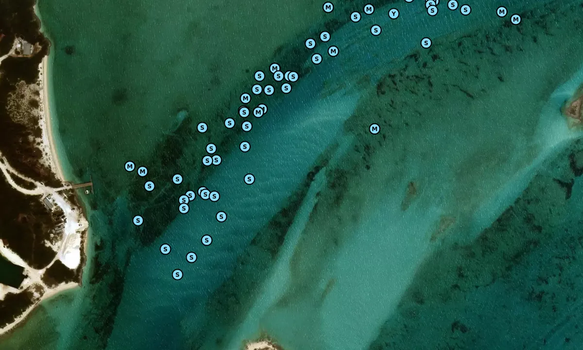 Satelite image of Norman's Cay - 1