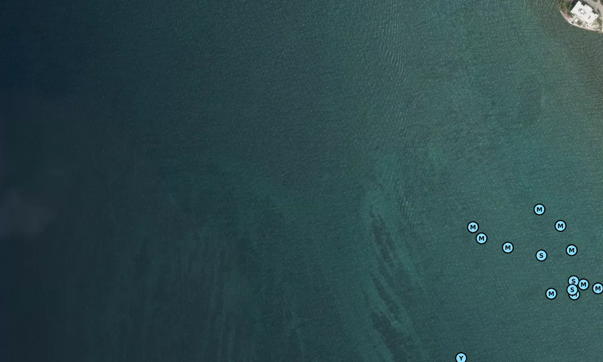 Satelite image of North Boot Key Channel