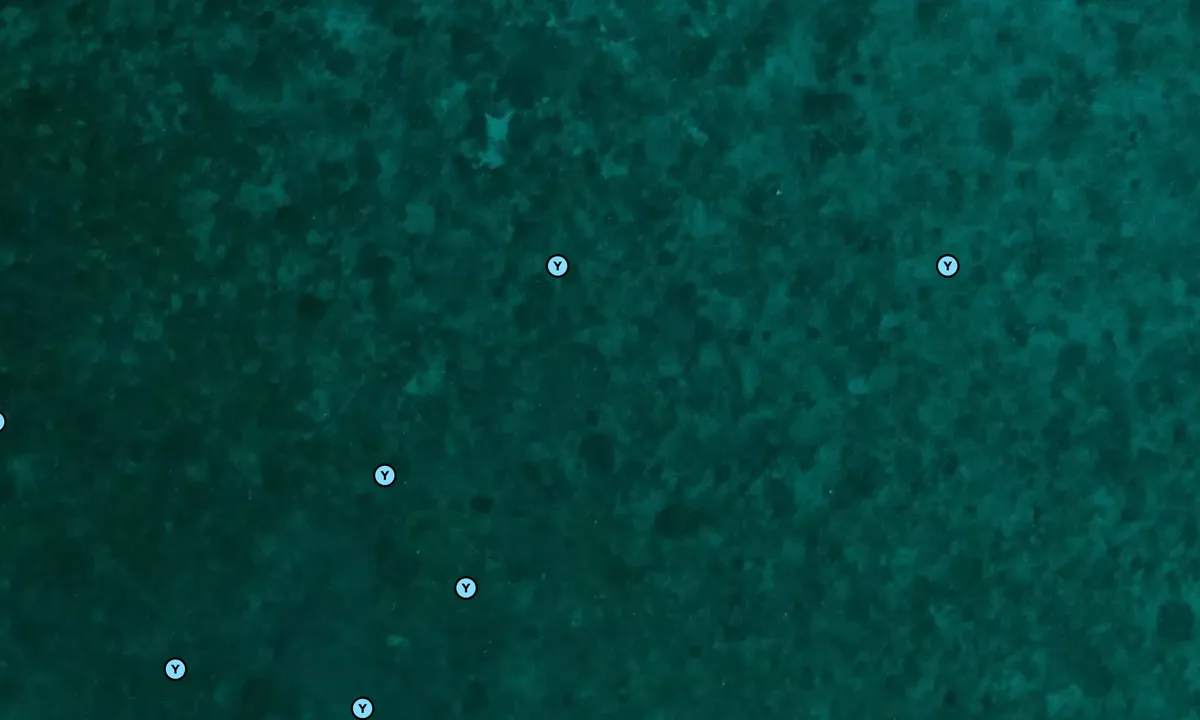 Satelite image of North Cat Cay - East