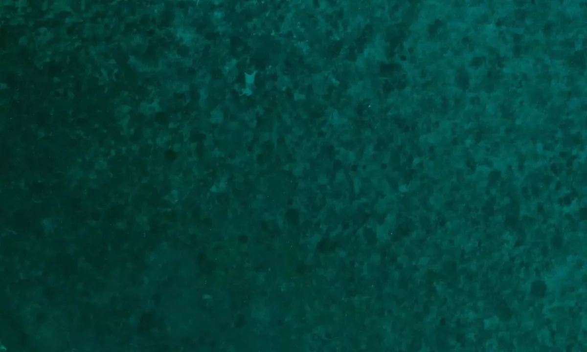 Flyfoto av North Cat Cay - East