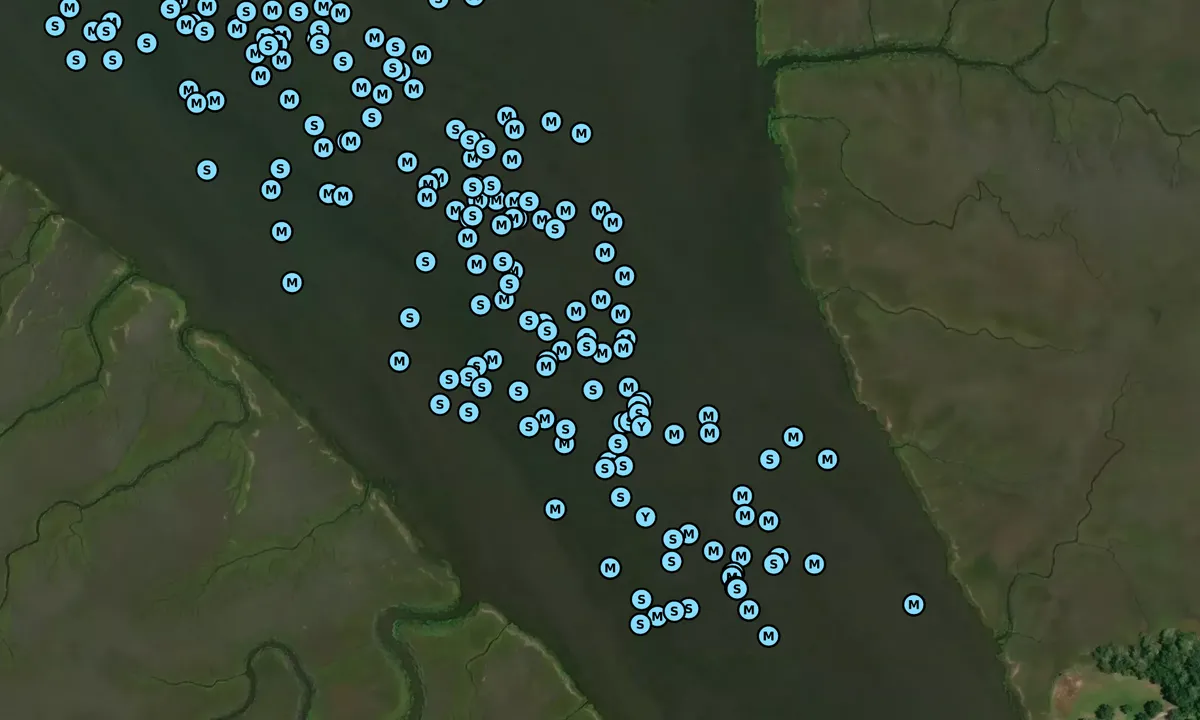 Satelite image of North Lanier Island