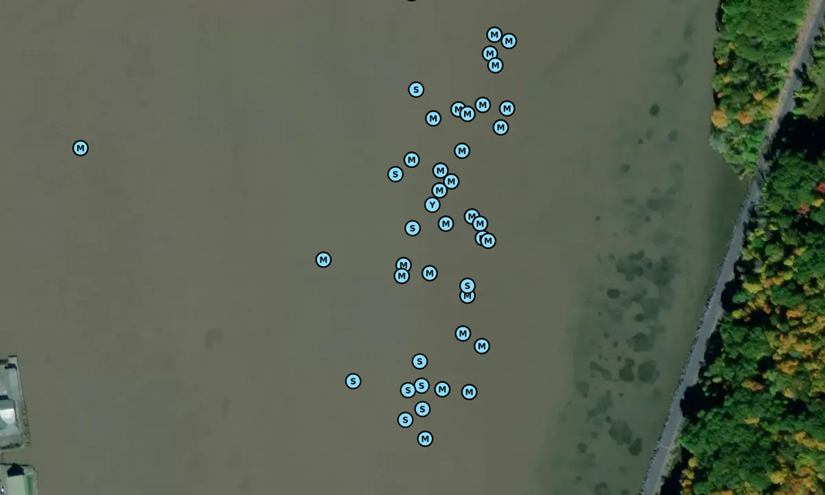 Satelite image of North of Greendale
