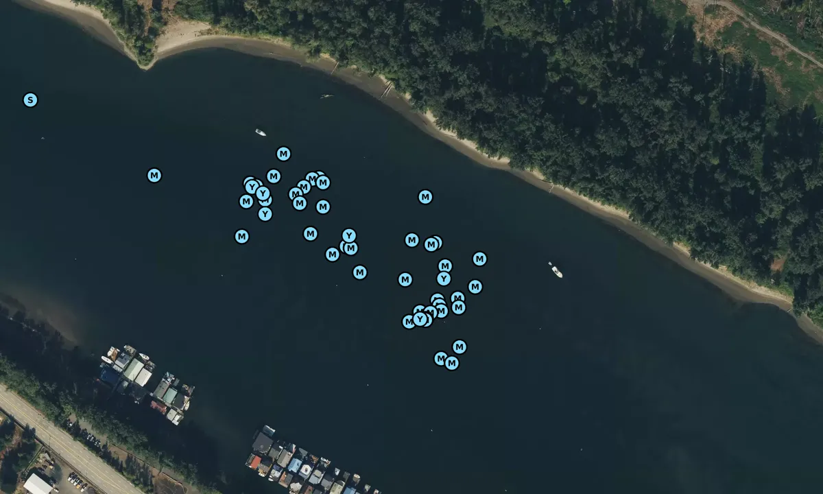 Satelite image of North Portland Harbor