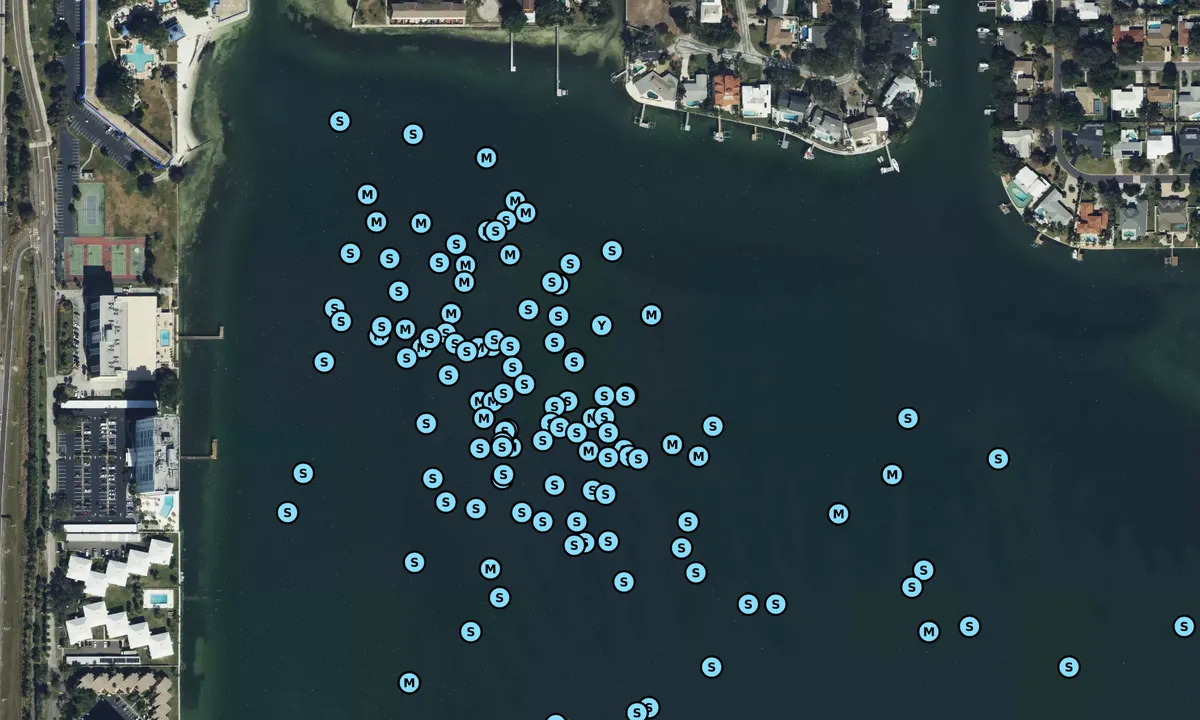 Satelite image of North Tampa Bay Skyway