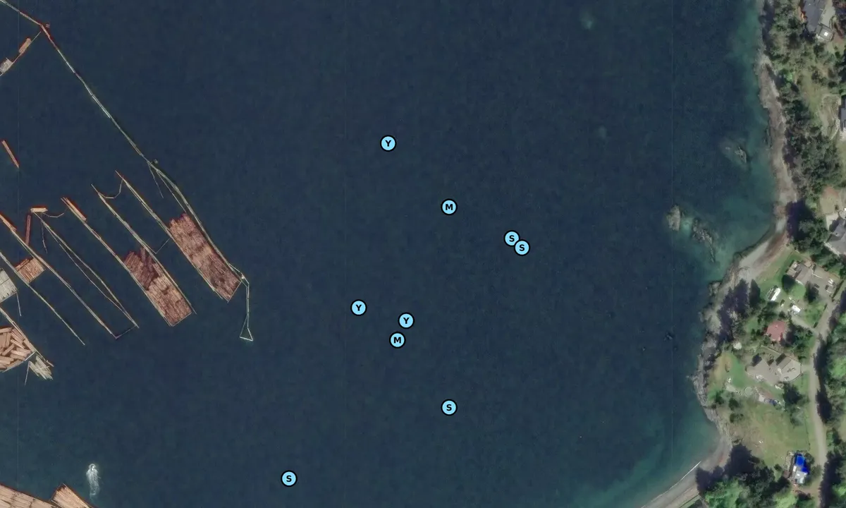 Satelite image of North West Bay