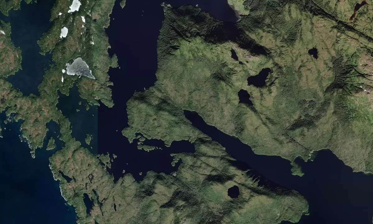 Flyfoto av Northwest Arm