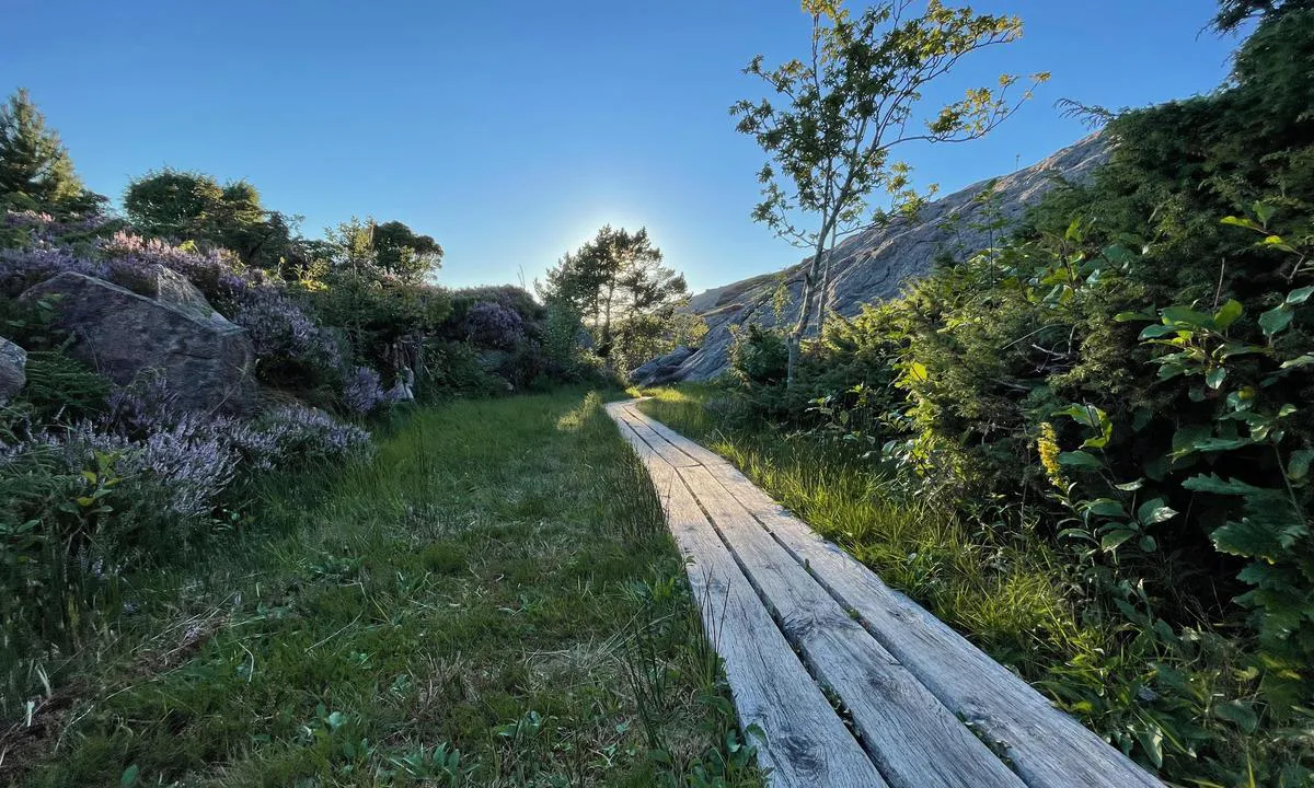 Ny-Hellesund - Olavsundet: {"base": "no", "no": "P\u00e5 Kapell\u00f8ya kan du g\u00e5 til Verftet.", "se": "P\u00e5 Kapell\u00f8ya kan du g\u00e5 till Varvet.", "en": "On Kapell\u00f8ya, you can go to the Yard.", "da": "P\u00e5 Kapell\u00f8ya kan du g\u00e5 til V\u00e6rftet."}