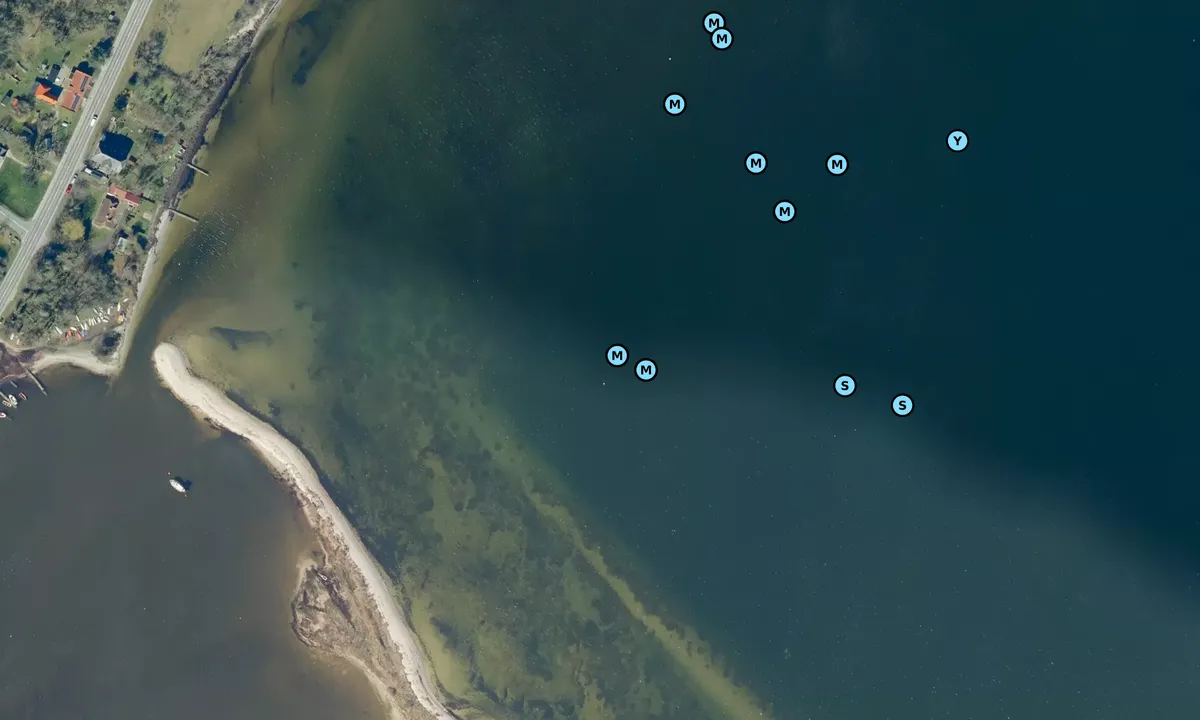 Satelite image of Nyborg Fjord Avernakke bouy