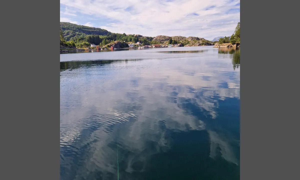 Nyhammeren: {"base": "no", "no": "Stor fin lagune.", "se": "Stor fin lagun.", "en": "Large fine lagoon.", "da": "Stor fin lagune."}