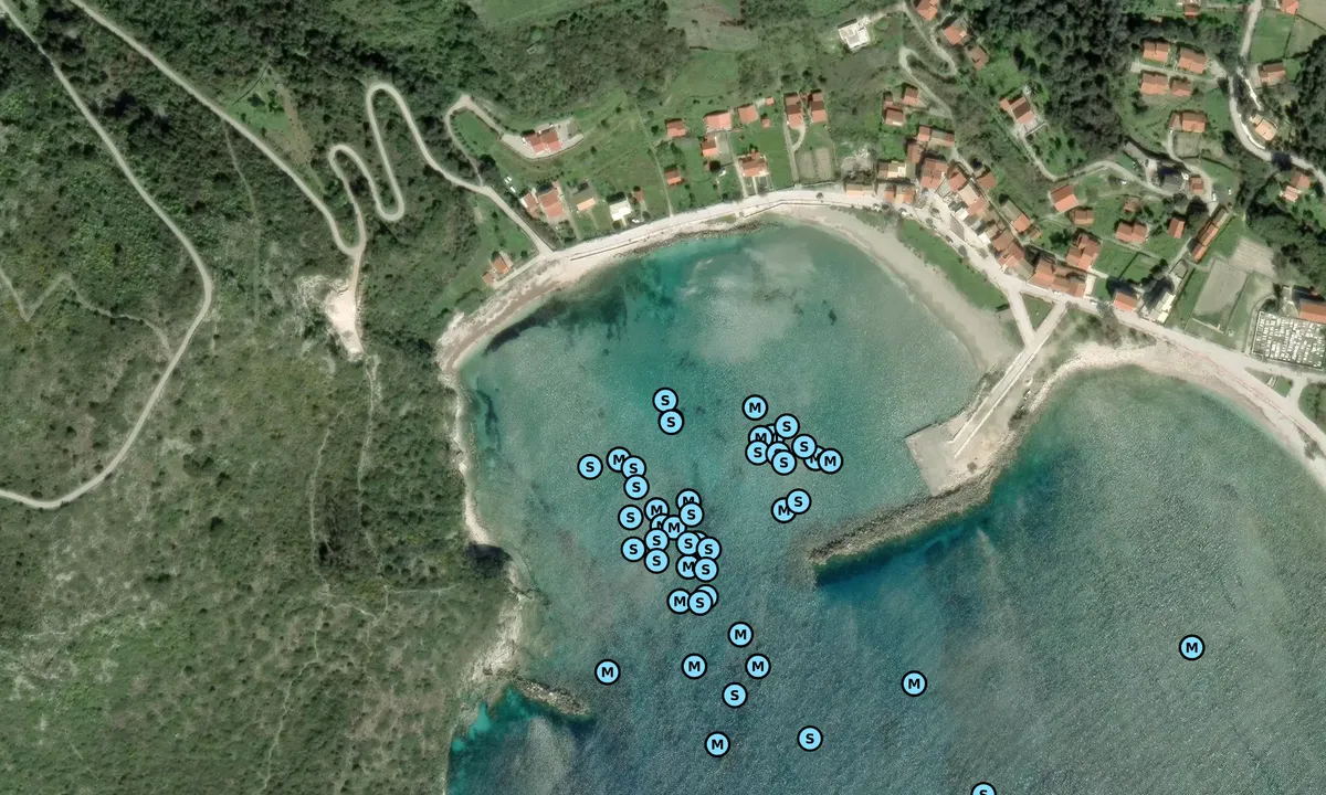 Satelite image of O. Ammou