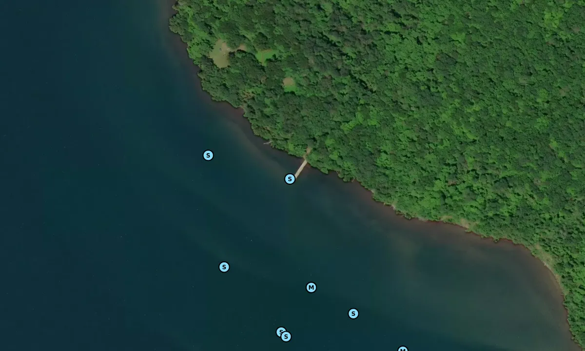 Satelite image of Oak Island (NPS dock)