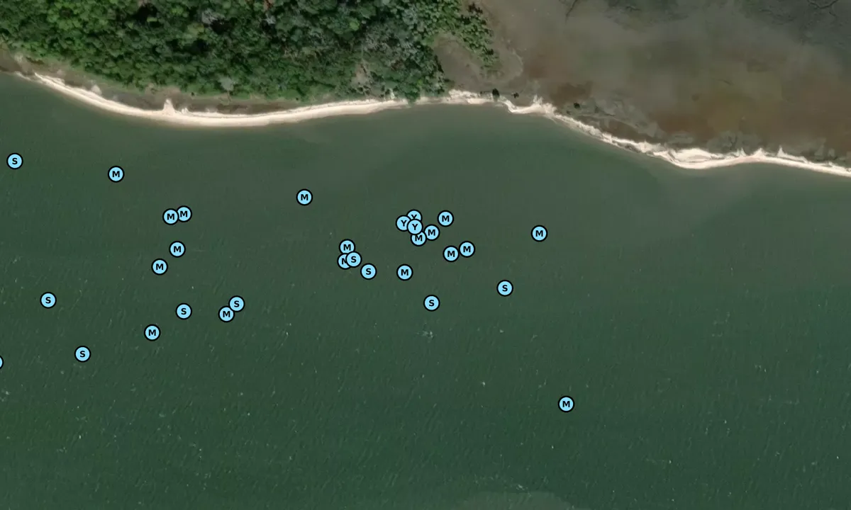 Satelite image of Observatory Beach