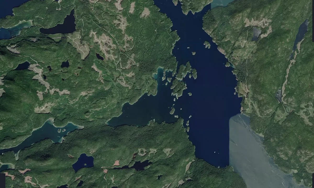 Flyfoto av Octopus Islands