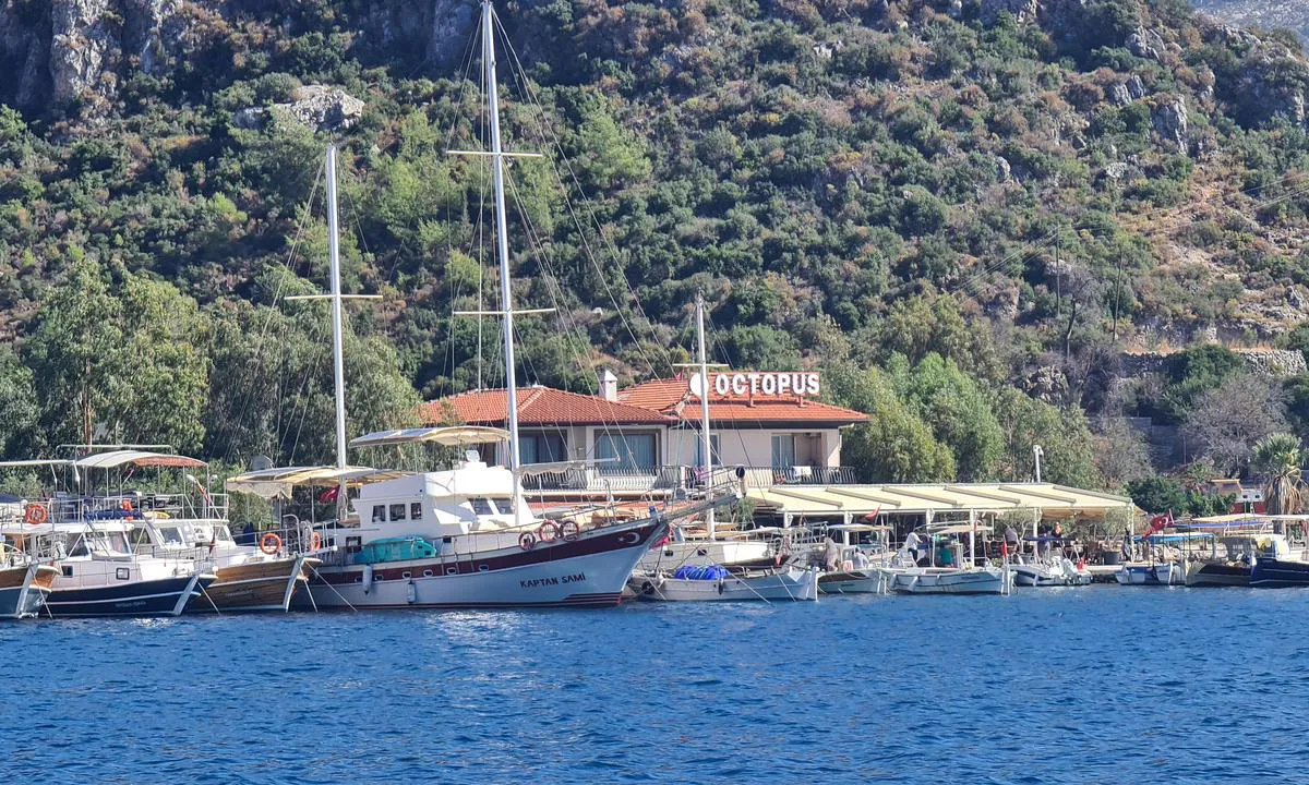 Octopus restaurant