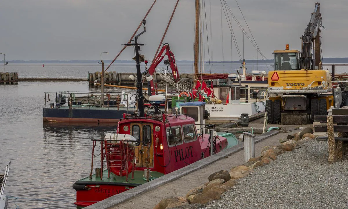 Oddesund Nord Lystbåde- og Fiskerihavn