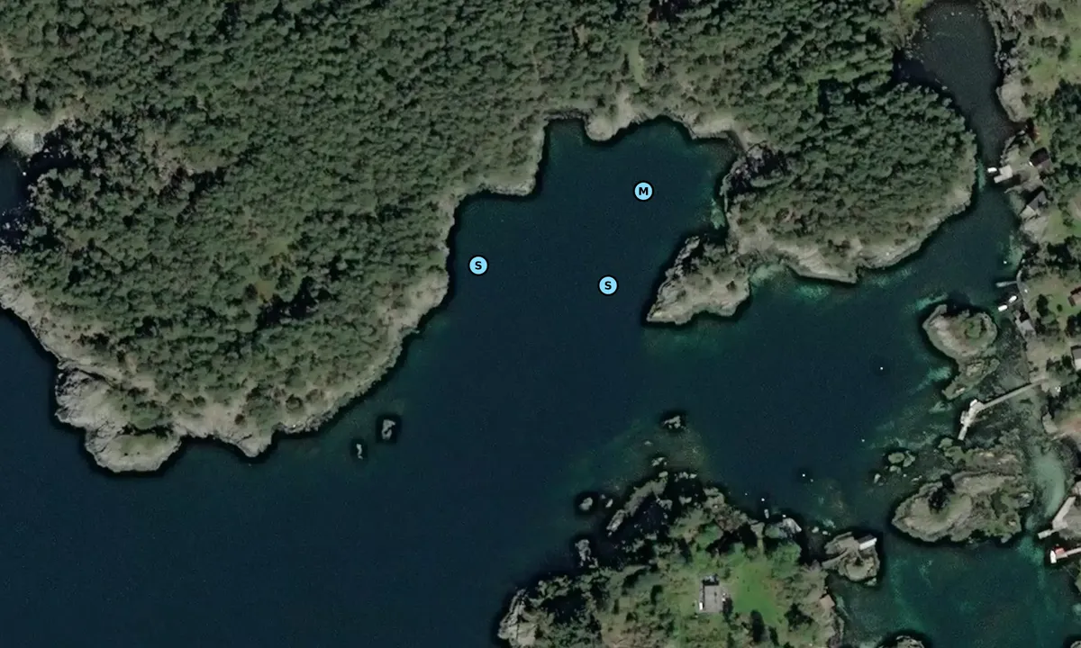 Satelite image of Oksa