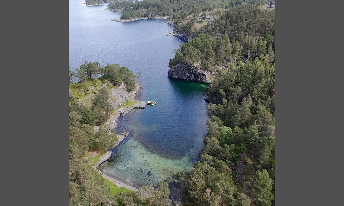 Oksabåsen - Storeknappen