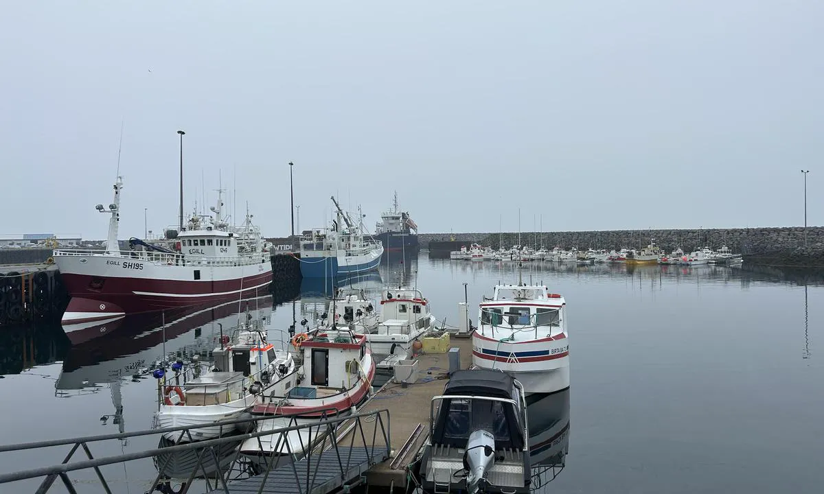 Ólafsvík: {"base": "en", "no": "Sm\u00e5b\u00e5thavn. Kanskje du kan legge til ved brygga foran den r\u00f8de b\u00e5ten. Denne flytebryggen virket ganske full, det samme gjorde den andre bryggen i bakgrunnen p\u00e5 bildet.", "se": "Sm\u00e5b\u00e5tshamn. Kanske kan du l\u00e4gga till vid bryggan framf\u00f6r den r\u00f6da b\u00e5ten. Denna flytande ponton \u00e4r ganska full, liksom den andra pontonen l\u00e4ngst bak i bilden.", "en": "Small boat harbour. Maybe you can dock on the pier in front of the red boat. This floating pontoon locked rather full, as did the other pontoon in the rear of the image.", "da": "Lille b\u00e5dehavn. M\u00e5ske kan du l\u00e6gge til ved kajen foran den r\u00f8de b\u00e5d. Denne flydende ponton ser temmelig fyldt ud, ligesom den anden ponton bagest p\u00e5 billedet.", "fr": "Petit port de plaisance. Peut-\u00eatre pouvez-vous accoster sur le quai en face du bateau rouge. Ce ponton flottant est plut\u00f4t rempli, tout comme l'autre ponton \u00e0 l'arri\u00e8re de l'image.", "de": "Kleiner Bootshafen. Vielleicht k\u00f6nnen Sie an der Pier vor dem roten Boot anlegen. Dieser schwimmende Ponton wirkt ziemlich voll, ebenso wie der andere Ponton im hinteren Bereich des Bildes.", "es": "Peque\u00f1o puerto para embarcaciones. Puede que puedas atracar en el muelle frente al barco rojo. Este pont\u00f3n flotante parece bastante lleno, al igual que el otro pont\u00f3n en la parte trasera de la imagen.", "it": "Porticciolo per piccole imbarcazioni. Forse puoi ormeggiare al molo di fronte alla barca rossa. Questo pontone galleggiante sembra piuttosto pieno, cos\u00ec come l'altro pontone nella parte posteriore dell'immagine.", "pt": "Pequeno porto para barcos. Talvez voc\u00ea possa atracar no cais em frente ao barco vermelho. Este pont\u00e3o flutuante pareceu bastante cheio, assim como o outro pont\u00e3o na parte traseira da imagem.", "nl": "Kleine jachthaven. Misschien kun je aanmeren aan de pier voor de rode boot. Deze drijvende ponton lijkt vrij vol, net als de andere ponton achteraan in de afbeelding.", "pl": "Ma\u0142a przysta\u0144 dla \u0142odzi. Mo\u017ce uda ci si\u0119 zacumowa\u0107 przy nabrze\u017cu przed czerwon\u0105 \u0142odzi\u0105. Ten p\u0142ywaj\u0105cy pomost wydaje si\u0119 do\u015b\u0107 pe\u0142ny, podobnie jak drugi pomost w dalszej cz\u0119\u015bci obrazu.", "uk": "\u0413\u0430\u0432\u0430\u043d\u044c \u0434\u043b\u044f \u043c\u0430\u043b\u0438\u0445 \u0441\u0443\u0434\u0435\u043d. \u041c\u043e\u0436\u043b\u0438\u0432\u043e, \u0432\u0438 \u0437\u043c\u043e\u0436\u0435\u0442\u0435 \u043f\u0440\u0438\u0448\u0432\u0430\u0440\u0442\u0443\u0432\u0430\u0442\u0438\u0441\u044f \u0434\u043e \u043f\u0440\u0438\u0447\u0430\u043b\u0443 \u043f\u0435\u0440\u0435\u0434 \u0447\u0435\u0440\u0432\u043e\u043d\u0438\u043c \u0447\u043e\u0432\u043d\u043e\u043c. \u0426\u044f \u043f\u043b\u0430\u0432\u0443\u0447\u0430 \u043f\u043e\u043d\u0442\u043e\u043d\u043d\u0430 \u043f\u043b\u0430\u0442\u0444\u043e\u0440\u043c\u0430 \u0437\u0434\u0430\u0454\u0442\u044c\u0441\u044f \u0434\u043e\u0441\u0438\u0442\u044c \u0437\u0430\u043f\u043e\u0432\u043d\u0435\u043d\u043e\u044e, \u044f\u043a \u0456 \u0456\u043d\u0448\u0430 \u043f\u043b\u0430\u0442\u0444\u043e\u0440\u043c\u0430 \u043d\u0430 \u0437\u0430\u0434\u043d\u044c\u043e\u043c\u0443 \u043f\u043b\u0430\u043d\u0456 \u0437\u043e\u0431\u0440\u0430\u0436\u0435\u043d\u043d\u044f.", "ro": "Port mic pentru b\u0103rci. Poate po\u021bi acosta la cheiul din fa\u021ba b\u0103rcii ro\u0219ii. Acest ponton plutitor p\u0103rea destul de plin, la fel ca \u0219i cel\u0103lalt ponton din spatele imaginii.", "tr": "K\u00fc\u00e7\u00fck tekne liman\u0131. Belki k\u0131rm\u0131z\u0131 teknenin \u00f6n\u00fcndeki iskeleye yana\u015fabilirsiniz. Bu y\u00fczer iskele olduk\u00e7a dolu g\u00f6r\u00fcn\u00fcyor, resmin arkas\u0131ndaki di\u011fer iskele gibi.", "el": "\u039c\u03b9\u03ba\u03c1\u03cc \u03bb\u03b9\u03bc\u03ac\u03bd\u03b9 \u03b3\u03b9\u03b1 \u03c3\u03ba\u03ac\u03c6\u03b7. \u038a\u03c3\u03c9\u03c2 \u03bc\u03c0\u03bf\u03c1\u03b5\u03af\u03c4\u03b5 \u03bd\u03b1 \u03b4\u03ad\u03c3\u03b5\u03c4\u03b5 \u03c3\u03c4\u03b7\u03bd \u03b1\u03c0\u03bf\u03b2\u03ac\u03b8\u03c1\u03b1 \u03bc\u03c0\u03c1\u03bf\u03c3\u03c4\u03ac \u03b1\u03c0\u03cc \u03c4\u03bf \u03ba\u03cc\u03ba\u03ba\u03b9\u03bd\u03bf \u03c3\u03ba\u03ac\u03c6\u03bf\u03c2. \u0391\u03c5\u03c4\u03cc\u03c2 \u03bf \u03c0\u03bb\u03c9\u03c4\u03cc\u03c2 \u03c0\u03c1\u03bf\u03b2\u03bb\u03ae\u03c4\u03b1\u03c2 \u03c6\u03b1\u03af\u03bd\u03b5\u03c4\u03b1\u03b9 \u03b1\u03c1\u03ba\u03b5\u03c4\u03ac \u03b3\u03b5\u03bc\u03ac\u03c4\u03bf\u03c2, \u03cc\u03c0\u03c9\u03c2 \u03ba\u03b1\u03b9 \u03bf \u03ac\u03bb\u03bb\u03bf\u03c2 \u03c0\u03c1\u03bf\u03b2\u03bb\u03ae\u03c4\u03b1\u03c2 \u03c3\u03c4\u03bf \u03c0\u03af\u03c3\u03c9 \u03bc\u03ad\u03c1\u03bf\u03c2 \u03c4\u03b7\u03c2 \u03b5\u03b9\u03ba\u03cc\u03bd\u03b1\u03c2.", "cs": "P\u0159\u00edstav pro mal\u00e9 lod\u011b. Mo\u017en\u00e1 m\u016f\u017eete zakotvit u mola p\u0159ed \u010dervenou lod\u00ed. Tento plovouc\u00ed ponton je sp\u00ed\u0161e pln\u00fd, stejn\u011b jako druh\u00fd ponton v zadn\u00ed \u010d\u00e1sti obr\u00e1zku.", "hu": "Kishaj\u00f3 kik\u00f6t\u0151. Tal\u00e1n kik\u00f6thetsz a v\u00f6r\u00f6s haj\u00f3 el\u0151tti m\u00f3l\u00f3n\u00e1l. Ez az \u00fasz\u00f3ponton el\u00e9g tele van, ak\u00e1rcsak a k\u00e9p h\u00e1tulj\u00e1n l\u00e1that\u00f3 m\u00e1sik ponton.", "fi": "Pieni venevenesatama. Ehk\u00e4 voit kiinnitty\u00e4 laituriin punaisen veneen edess\u00e4. T\u00e4m\u00e4 kelluva ponttoni on melko t\u00e4ynn\u00e4, samoin kuin kuvan takaosassa oleva ponttoni.", "bg": "\u041f\u0440\u0438\u0441\u0442\u0430\u043d\u0438\u0449\u0435 \u0437\u0430 \u043c\u0430\u043b\u043a\u0438 \u043b\u043e\u0434\u043a\u0438. \u041c\u043e\u0436\u0435 \u0431\u0438 \u043c\u043e\u0436\u0435\u0442\u0435 \u0434\u0430 \u0430\u043a\u043e\u0441\u0442\u0438\u0440\u0430\u0442\u0435 \u043d\u0430 \u043a\u0435\u044f \u043f\u0440\u0435\u0434 \u0447\u0435\u0440\u0432\u0435\u043d\u0430\u0442\u0430 \u043b\u043e\u0434\u043a\u0430. \u0422\u043e\u0437\u0438 \u043f\u043b\u0430\u0432\u0430\u0449 \u043f\u043e\u043d\u0442\u043e\u043d \u0438\u0437\u0433\u043b\u0435\u0436\u0434\u0430 \u0434\u043e\u0441\u0442\u0430 \u043f\u044a\u043b\u0435\u043d, \u043a\u0430\u043a\u0442\u043e \u0438 \u0434\u0440\u0443\u0433\u0438\u044f\u0442 \u043f\u043e\u043d\u0442\u043e\u043d \u0432 \u0437\u0430\u0434\u043d\u0430\u0442\u0430 \u0447\u0430\u0441\u0442 \u043d\u0430 \u0438\u0437\u043e\u0431\u0440\u0430\u0436\u0435\u043d\u0438\u0435\u0442\u043e.", "sr": "\u041c\u0430\u043b\u0430 \u043b\u0443\u043a\u0430 \u0437\u0430 \u0447\u0430\u043c\u0446\u0435. \u041c\u043e\u0436\u0434\u0430 \u043c\u043e\u0436\u0435\u0442\u0435 \u043f\u0440\u0438\u0441\u0442\u0430\u0442\u0438 \u043d\u0430 \u043c\u043e\u043b \u0438\u0441\u043f\u0440\u0435\u0434 \u0446\u0440\u0432\u0435\u043d\u043e\u0433 \u0447\u0430\u043c\u0446\u0430. \u041e\u0432\u0430\u0458 \u043f\u043b\u0443\u0442\u0430\u0458\u0443\u045b\u0438 \u043f\u043e\u043d\u0442\u043e\u043d \u0434\u0435\u043b\u0443\u0458\u0435 \u043f\u0440\u0438\u043b\u0438\u0447\u043d\u043e \u043f\u043e\u043f\u0443\u045a\u0435\u043d, \u043a\u0430\u043e \u0438 \u0434\u0440\u0443\u0433\u0438 \u043f\u043e\u043d\u0442\u043e\u043d \u043d\u0430 \u0437\u0430\u0434\u045a\u0435\u043c \u0434\u0435\u043b\u0443 \u0441\u043b\u0438\u043a\u0435.", "et": "V\u00e4ikelaevasadam. V\u00f5ib-olla saate silduda punase paadi ees oleval kail. See ujuvkai tundub \u00fcsna t\u00e4is olevat, nagu ka teine kai pildi tagaplaanil.", "lv": "Mazu laivu osta. Varb\u016bt j\u016bs varat pietauvoties pie piest\u0101tnes pret\u012b sarkanajai laivai. \u0160is peldo\u0161ais pontons \u0161\u0137ita diezgan pilns, t\u0101pat k\u0101 otrs pontons att\u0113la aizmugur\u0113.", "lt": "Ma\u017e\u0173 laiv\u0173 uostas. Galb\u016bt galite prisi\u0161vartuoti prieplaukoje prie raudono laivo. \u0160is pl\u016bduriuojantis pontonas atrodo gana pilnas, kaip ir kitas pontonas, esantis atvaizdo gale."}
