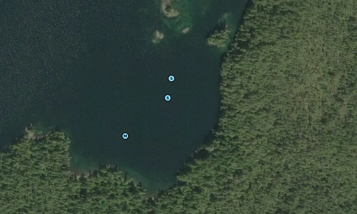 Satelite image of Oliver Cove