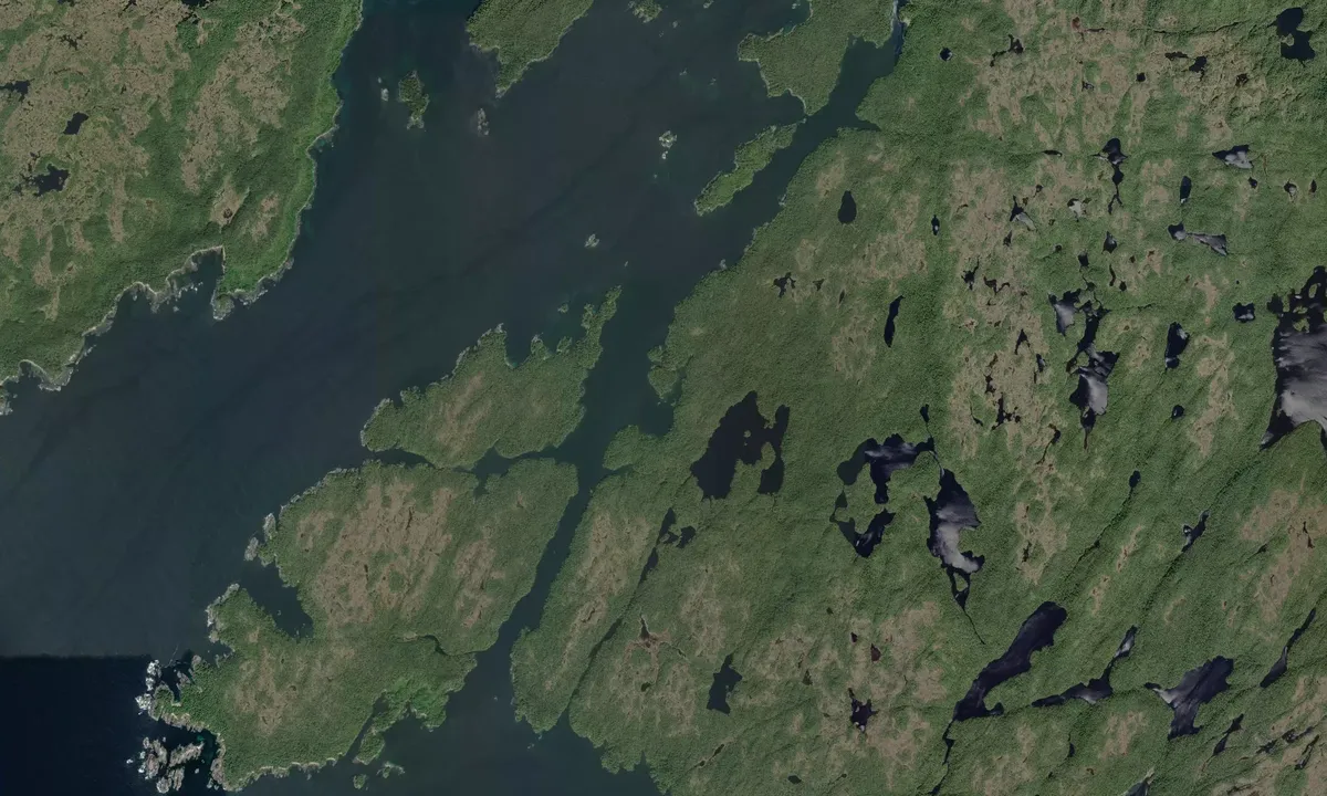 Flyfoto av Oliver Cove