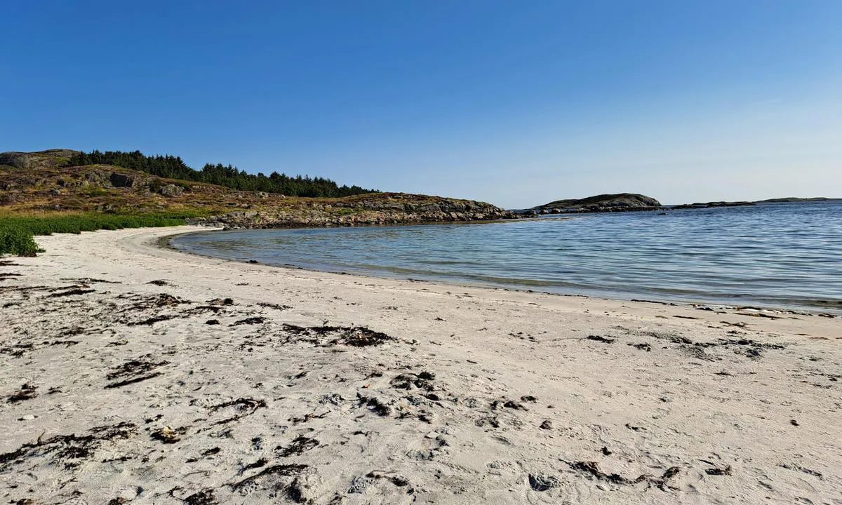 {"base": "no", "no": "Hvit sandstrand p\u00e5 Hus\u00f8ya, 15 min.gange fra Ona gjestehavn.", "se": "Vit sandstrand p\u00e5 Hus\u00f6ya, 15 min. g\u00e5ng fr\u00e5n Ona g\u00e4sthamn.", "en": "White sandy beach on Hus\u00f8ya, a 15-minute walk from Ona guest harbor.", "da": "Hvid sandstrand p\u00e5 Hus\u00f8ya, 15 min. gang fra Ona g\u00e6stehavn.", "fr": "Plage de sable blanc \u00e0 Hus\u00f8ya, \u00e0 15 minutes \u00e0 pied du port de plaisance de Ona.", "de": "<p>Wei\u00dfer Sandstrand auf Hus\u00f8ya, 15 Minuten Fu\u00dfweg vom G\u00e4stehafen Ona.</p>", "es": "Playa de arena blanca en Hus\u00f8ya, a 15 min. caminando desde el puerto de invitados de Ona.", "it": "Spiaggia di sabbia bianca a Hus\u00f8ya, a 15 min a piedi dal porto turistico di Ona.", "pt": "Praia de areia branca em Hus\u00f8ya, a 15 minutos a p\u00e9 do porto de visitantes de Ona.", "nl": "Wit zandstrand op Hus\u00f8ya, 15 min. lopen vanaf de jachthaven van Ona.", "pl": "Bia\u0142a piaszczysta pla\u017ca na wyspie Hus\u00f8ya, 15 minut pieszo od przystani go\u015bcinnej Ona.", "uk": "\u0411\u0456\u043b\u0438\u0439 \u043f\u0456\u0449\u0430\u043d\u0438\u0439 \u043f\u043b\u044f\u0436 \u043d\u0430 \u0425\u0443\u0441\u044c\u043e\u0456, 15 \u0445\u0432\u0438\u043b\u0438\u043d \u043f\u0456\u0448\u043a\u0438 \u0432\u0456\u0434 \u0433\u043e\u0441\u0442\u0435\u0432\u043e\u0457 \u0433\u0430\u0432\u0430\u043d\u0456 \u041e\u043d\u0430.", "ro": "Plaj\u0103 cu nisip alb pe Hus\u00f8ya, la 15 minute de mers pe jos de la marina pentru oaspe\u021bi Ona.", "tr": "Ona misafir liman\u0131ndan 15 dakika y\u00fcr\u00fcme mesafesinde, Hus\u00f8ya'da beyaz kumlu plaj.", "el": "\u039b\u03b5\u03c5\u03ba\u03ae \u03b1\u03bc\u03bc\u03bf\u03c5\u03b4\u03b9\u03ac \u03c3\u03c4\u03b7 \u03a7\u03bf\u03c5\u03c3\u03cc\u03b3\u03b9\u03b1, 15 \u03bb\u03b5\u03c0\u03c4\u03ac \u03bc\u03b5 \u03c4\u03b1 \u03c0\u03cc\u03b4\u03b9\u03b1 \u03b1\u03c0\u03cc \u03c4\u03bf \u03bb\u03b9\u03bc\u03ac\u03bd\u03b9 \u03b5\u03c0\u03b9\u03c3\u03ba\u03b5\u03c0\u03c4\u03ce\u03bd \u03c4\u03b7\u03c2 \u038c\u03bd\u03b1.", "cs": "B\u00edl\u00e1 p\u00edse\u010dn\u00e1 pl\u00e1\u017e na ostrov\u011b Hus\u00f8ya, 15 minut ch\u016fze od p\u0159\u00edstavu pro hosty Ona.", "hu": "Feh\u00e9r homokos strand Hus\u00f8y\u00e1n, 15 perc s\u00e9t\u00e1ra On\u00e1t\u00f3l vend\u00e9gkik\u00f6t\u0151t\u0151l.", "fi": "Valkoinen hiekkaranta Hus\u00f8yalla, 15 minuutin k\u00e4velymatka Ona vierasvenesatamasta.", "bg": "\u0411\u044f\u043b \u043f\u044f\u0441\u044a\u0447\u0435\u043d \u043f\u043b\u0430\u0436 \u043d\u0430 \u043e\u0441\u0442\u0440\u043e\u0432 \u0425\u0443\u0441\u044c\u043e\u044f, \u043d\u0430 15 \u043c\u0438\u043d\u0443\u0442\u0438 \u043f\u0435\u0448\u0430 \u043e\u0442 \u043f\u0440\u0438\u0441\u0442\u0430\u043d\u0438\u0449\u0435\u0442\u043e \u0433\u043e\u0441\u0442\u0438 \u041e\u043d\u0430.", "sr": "Bela pe\u0161\u010dana pla\u017ea na Hus\u00f8ya, 15 min. hoda od Ona gostinske luke.", "et": "Valge liivarand Hus\u00f8yas, 15 min. jalutusk\u00e4igu kaugusel Ona k\u00fclalissadamast.", "lv": "Balta smil\u0161u pludmale Hus\u00f8ya, 15 min\u016b\u0161u g\u0101jiena att\u0101lum\u0101 no Ona viesuostas.", "lt": "Baltas sm\u0117lio papl\u016bdimys Hus\u00f8yoje, 15 min. p\u0117s\u010diomis nuo Ona sve\u010di\u0173 uosto."}