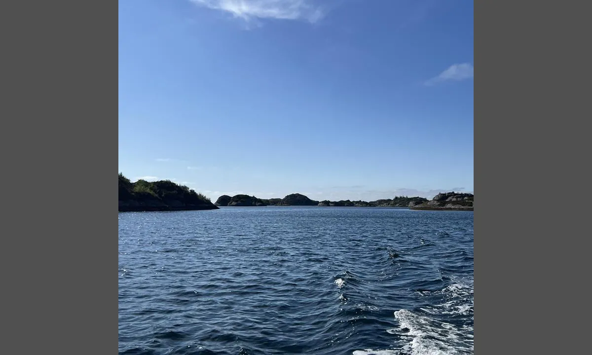 Ospesundet