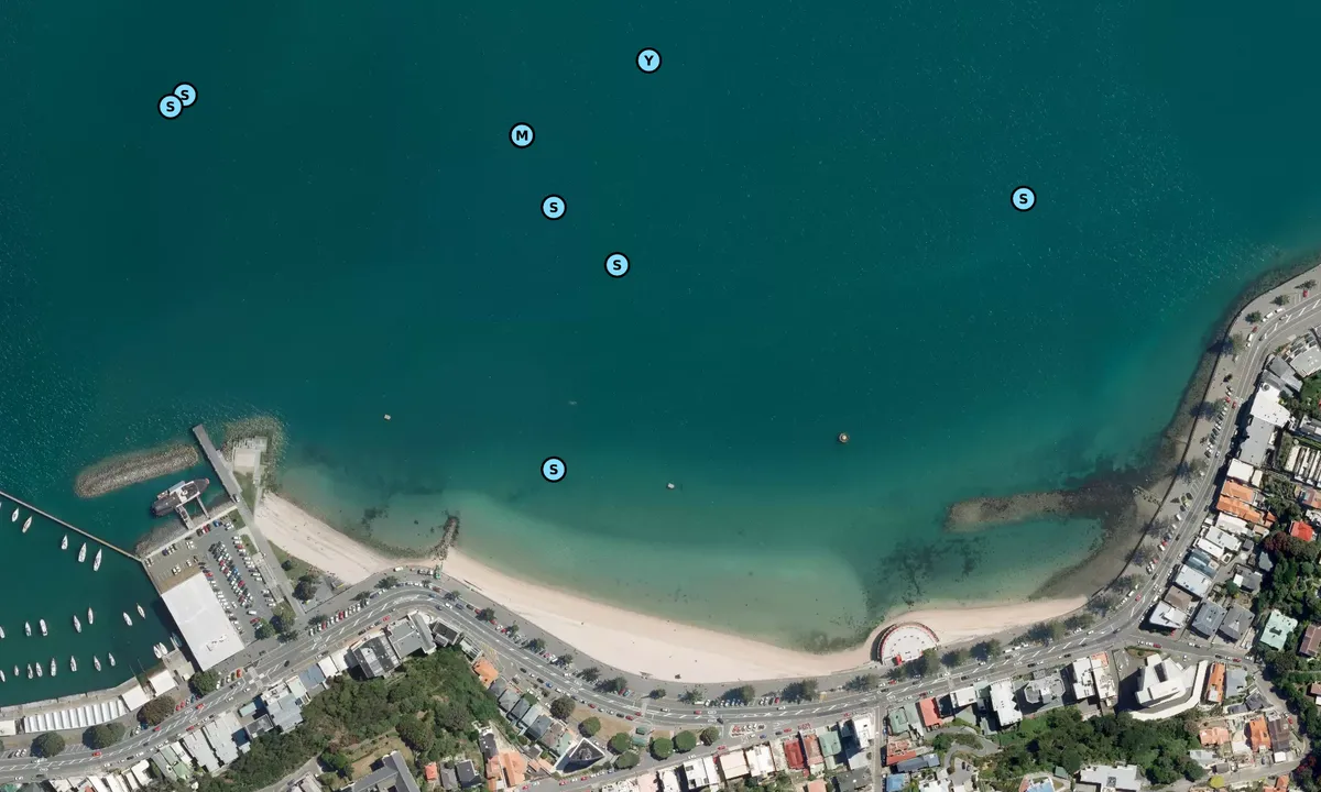 Satelite image of Oriental Bay