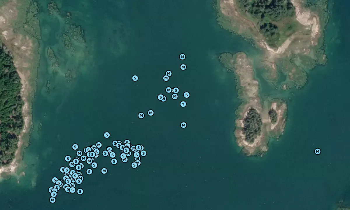 Satelite image of Orono Island