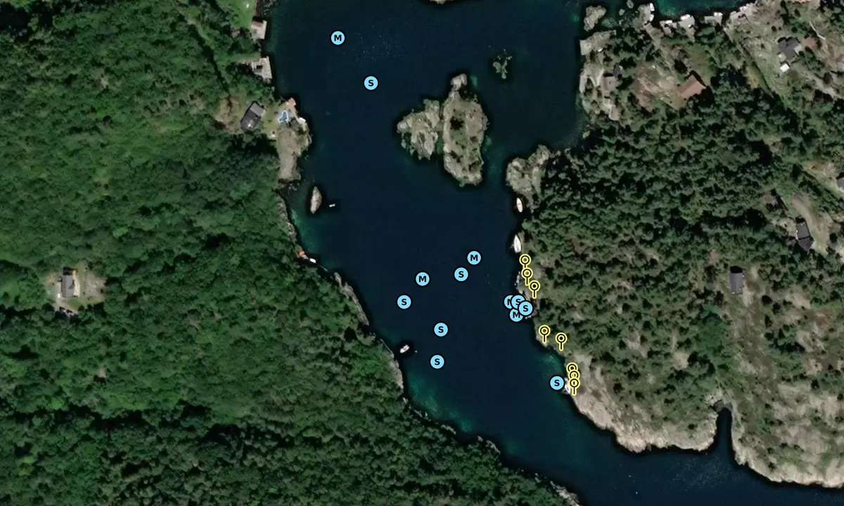 Satelite image of Ørpeholmsundet