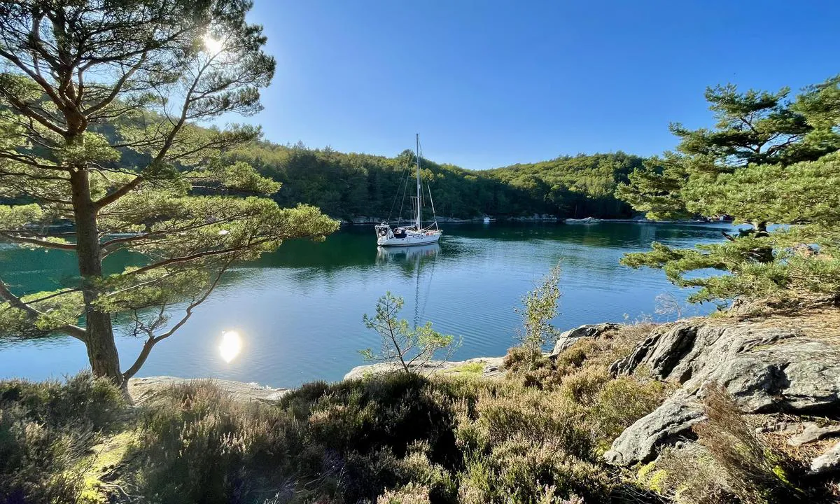 Ørpeholmsundet: {"base": "no", "no": "Nydelig ankringssted", "se": "Underbar ankringsplats", "en": "Beautiful anchorage", "da": "Smuk ankerplads", "fr": "Bel endroit pour jeter l'ancre", "de": "Wundersch\u00f6ner Ankerplatz", "es": "Hermoso lugar de anclaje", "it": "Bellissimo ancoraggio", "pt": "Lugar de ancoragem encantador", "nl": "Prachtige ankerplaats", "pl": "Urocze miejsce kotwiczenia", "uk": "\u0427\u0443\u0434\u043e\u0432\u0435 \u043c\u0456\u0441\u0446\u0435 \u0434\u043b\u044f \u044f\u043a\u0456\u0440\u043d\u043e\u0457 \u0441\u0442\u043e\u044f\u043d\u043a\u0438", "ro": "Loc frumos de ancorare", "tr": "G\u00fczel demirleme yeri", "el": "\u03a5\u03c0\u03ad\u03c1\u03bf\u03c7\u03bf \u03c3\u03b7\u03bc\u03b5\u03af\u03bf \u03b1\u03b3\u03ba\u03c5\u03c1\u03bf\u03b2\u03cc\u03bb\u03b7\u03c3\u03b7\u03c2", "cs": "N\u00e1dhern\u00e9 kotvi\u0161t\u011b", "hu": "Gy\u00f6ny\u00f6r\u0171 horgonyz\u00f3hely", "fi": "Ihastuttava ankkuripaikka", "bg": "\u041f\u0440\u0435\u043a\u0440\u0430\u0441\u043d\u043e \u043c\u044f\u0441\u0442\u043e \u0437\u0430 \u0437\u0430\u043a\u043e\u0442\u0432\u044f\u043d\u0435", "sr": "\u041f\u0440\u0435\u043b\u0435\u043f\u043e \u043c\u0435\u0441\u0442\u043e \u0437\u0430 \u0441\u0438\u0434\u0440\u0435\u045a\u0435", "et": "Kaunis ankrupaik", "lv": "Skaista enkura vieta", "lt": "Nuostabi inkaravimo vieta"}