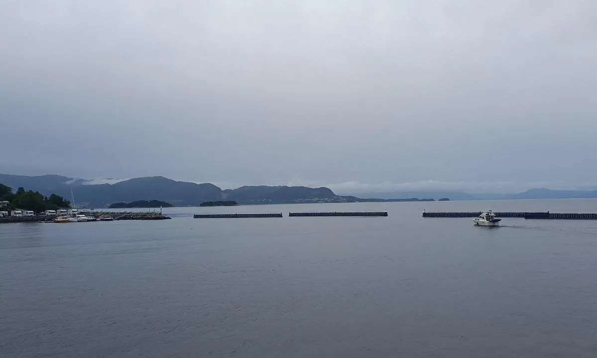 Os Hamn: {"base": "no", "no": "Solide b\u00f8lgedempere", "se": "Solida v\u00e5gbrytare", "en": "Sturdy wave dampeners", "da": "Solid b\u00f8lgebrydere"}