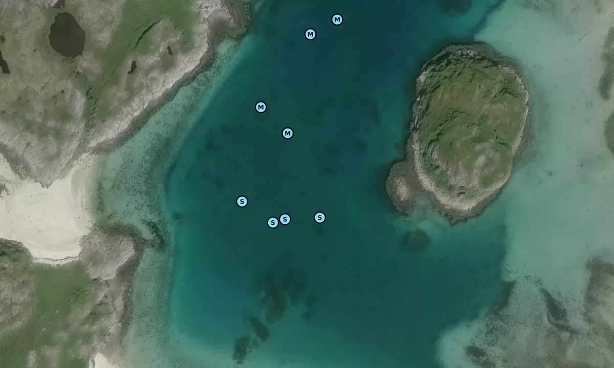 Satelite image of Osholmen - Landegode