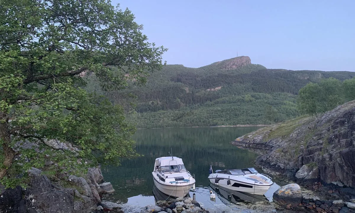 Ospholmen