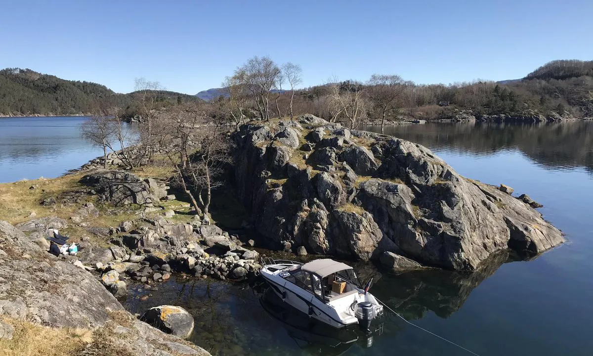 Ospholmen