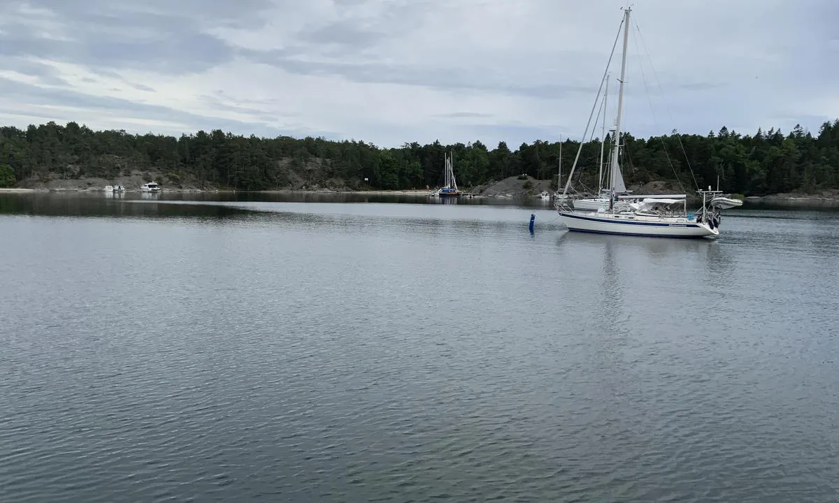 Östermarsfladen: Mot SØ.