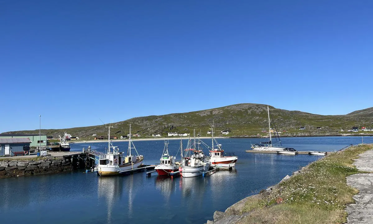 Østervågen: {"base": "no", "no": "Gjestebrygge er n\u00e6rmest innseilingen. God dybde ogs\u00e5 p\u00e5 de innerste plassene (4-6m). Moloen beskytter godt selv mot vind fra \u00d8st. \r\nFin sandbukt. Bunnkjettingene begrenser ankring.", "se": "G\u00e4stbryggan ligger n\u00e4rmast inloppet. Bra djup \u00e4ven p\u00e5 de innersta platserna (4-6m). Molen skyddar bra \u00e4ven mot vind fr\u00e5n \u00f6st. Fin sandvik. Bottenkedjorna begr\u00e4nsar ankring.", "en": "The guest pier is closest to the entrance. Good depth even at the innermost spots (4-6m). The breakwater provides good protection even against wind from the East. Nice sandy cove. Bottom chains limit anchoring.", "da": "G\u00e6stebro er n\u00e6rmest indsejlingen. God dybde ogs\u00e5 p\u00e5 de inderste pladser (4-6m). Molen beskytter godt selv mod vind fra \u00f8st. Fin sandbugt. Bundk\u00e6derne begr\u00e6nser ankring."}