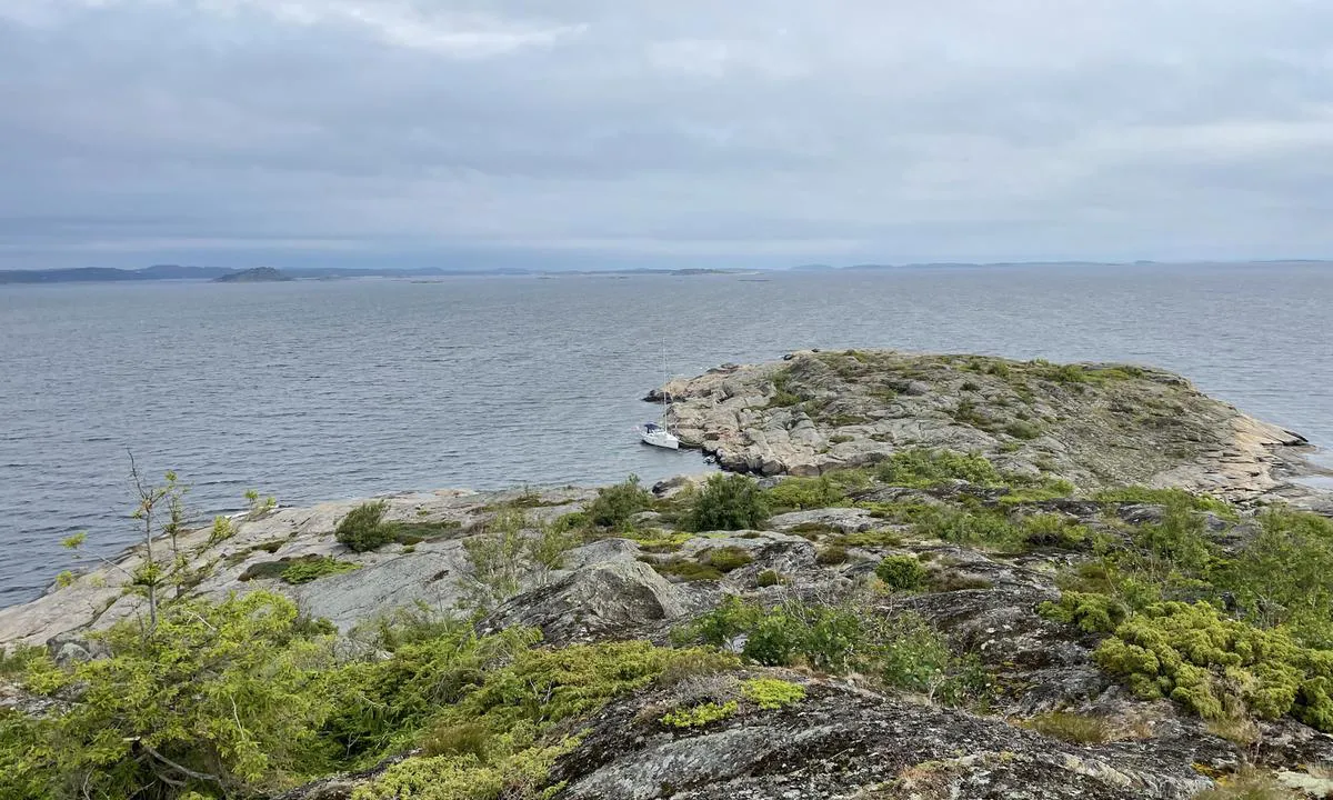 Østre Bustein: Bildet ble tatt med Nord-østlig vind. Hadde vinden kommet litt mer fra nord hadde det blitt ubehagelig.