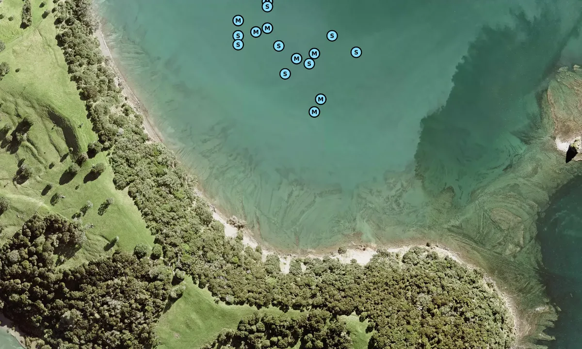 Satelite image of Otarawao Bay