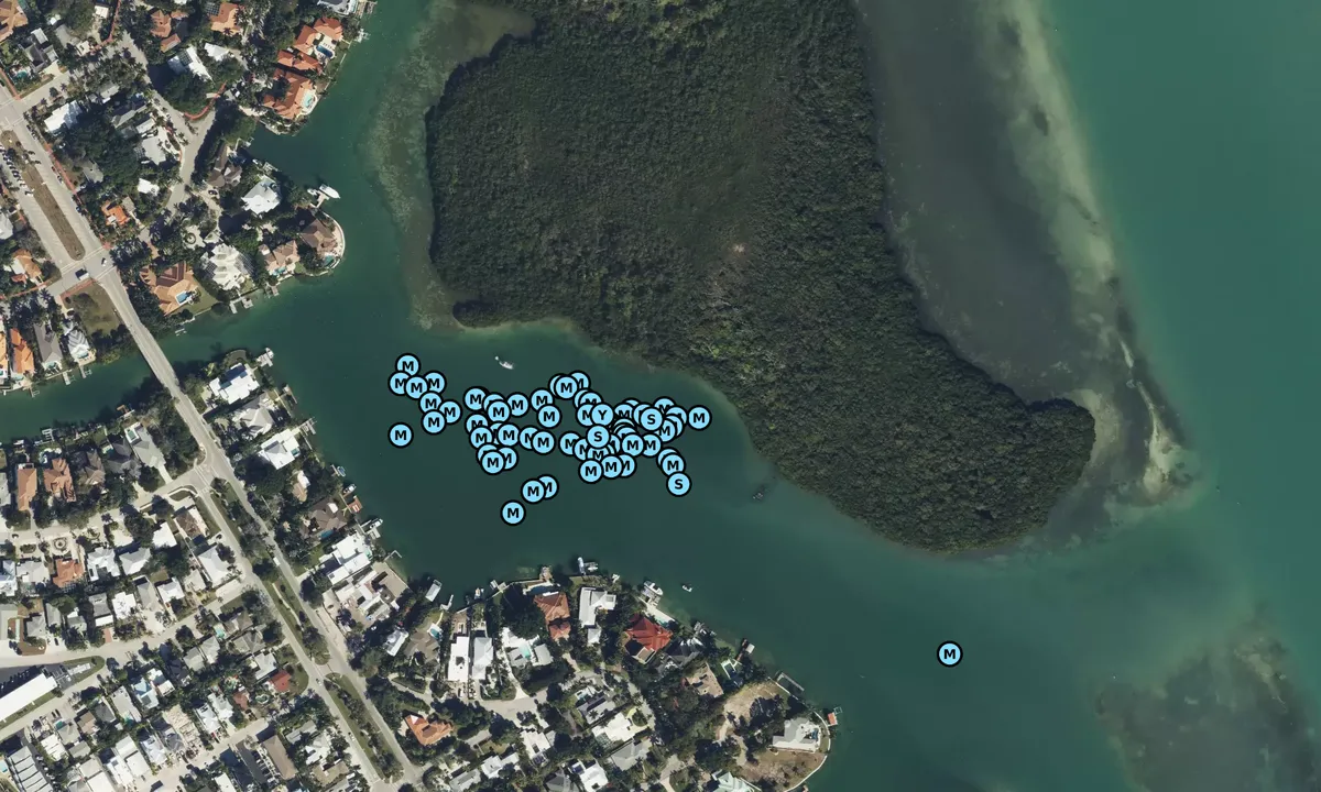 Satelite image of Otter Key