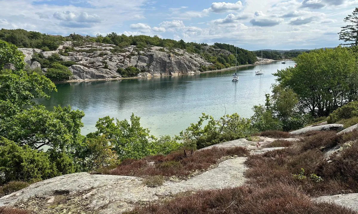 Otterön - Södra Dyvik: {"base": "no", "no": "Flott svaihavn, godt ankerfeste, fine stier over til andre deler av \u00f8ya, rik vegetasjon.", "se": "Fin svajhamn, bra ankarf\u00e4ste, fina stigar \u00f6ver till andra delar av \u00f6n, rik vegetation.", "en": "Great swinging anchorage, good holding ground, nice trails to other parts of the island, rich vegetation.", "da": "Fantastisk svinghavn, godt ankerfeste, fine stier over til andre dele af \u00f8en, rig vegetation."}