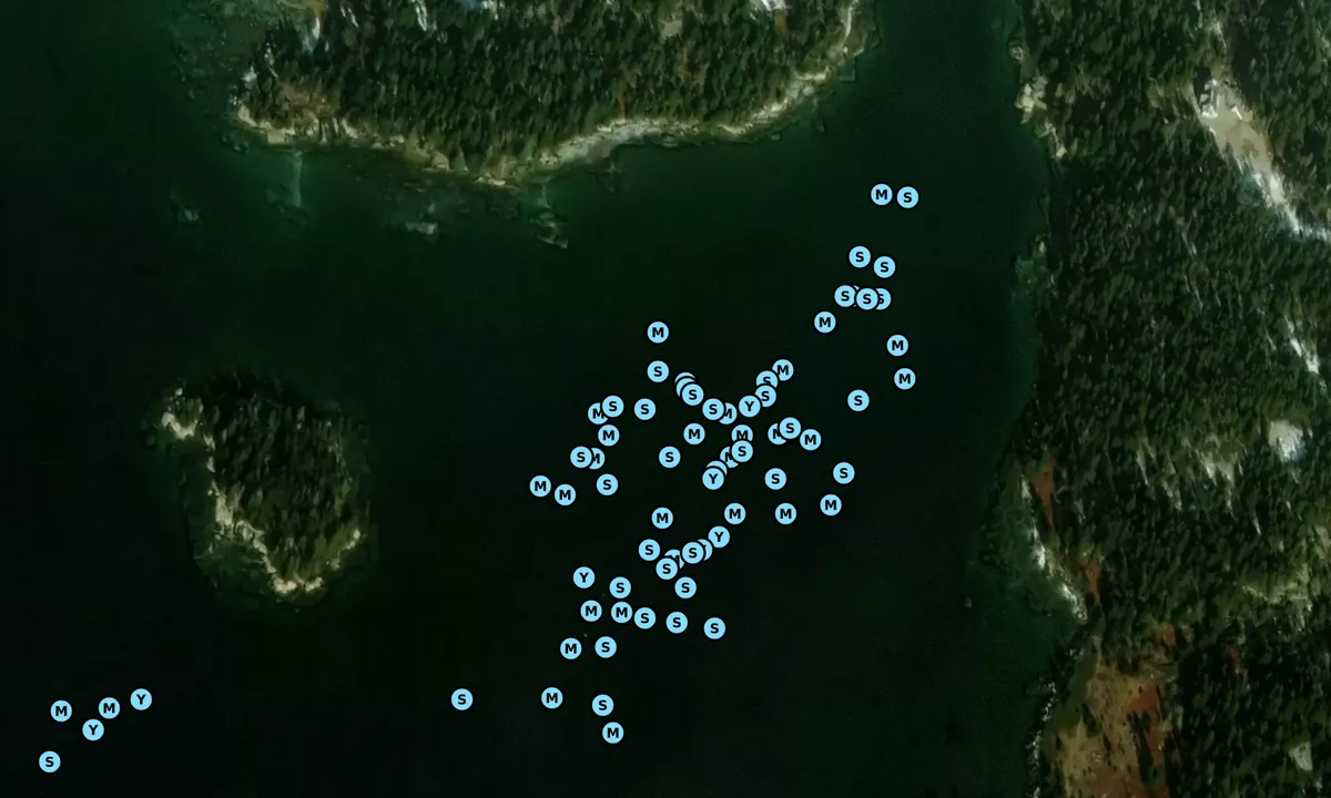 Satelite image of Outer Long Cove