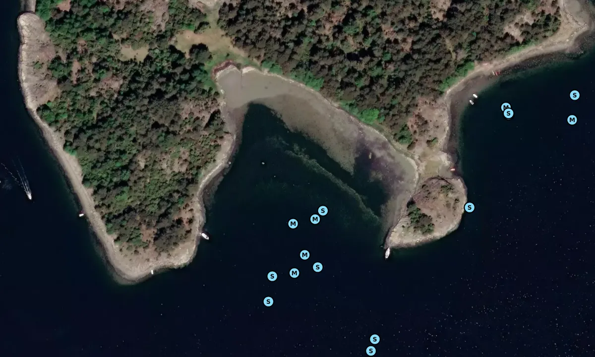 Satelite image of Oxholmen