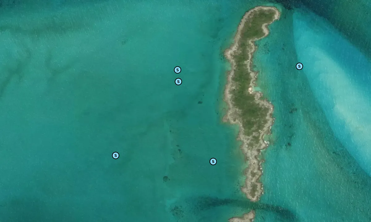 Satelite image of Oyster