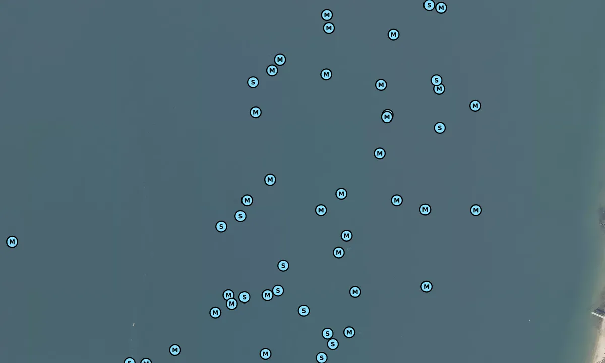 Satelite image of Oyster Bay - Centre Island