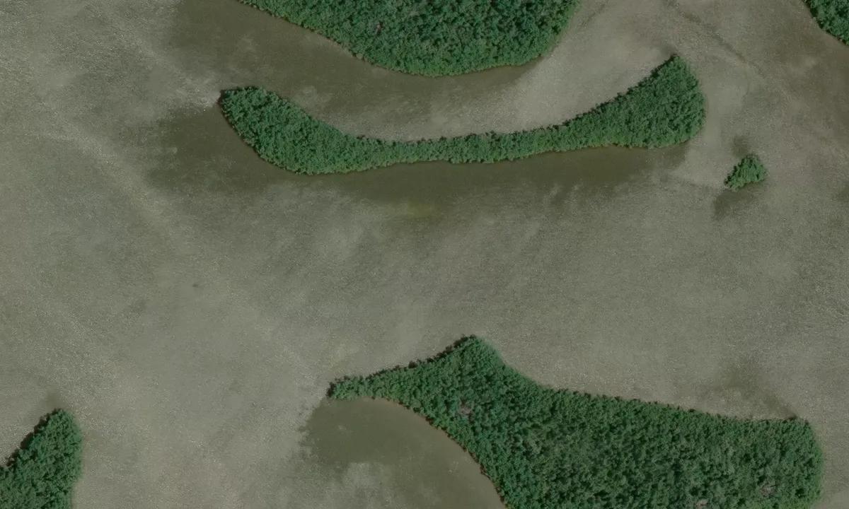 Satelite image of Oyster Bay North