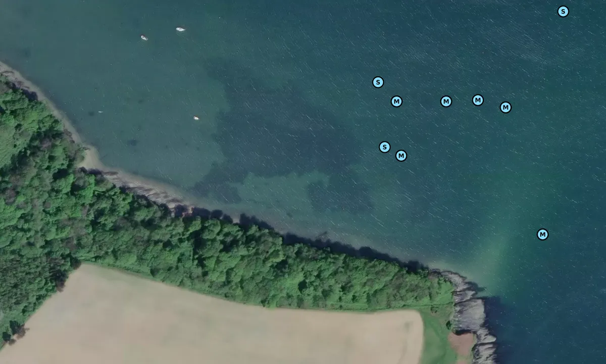 Satelite image of Oyster Haven
