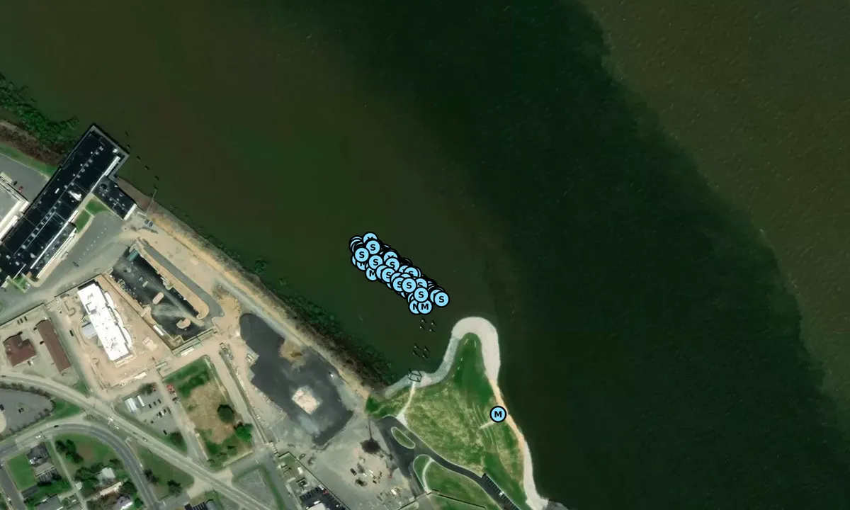 Satelite image of Paducah City Marina