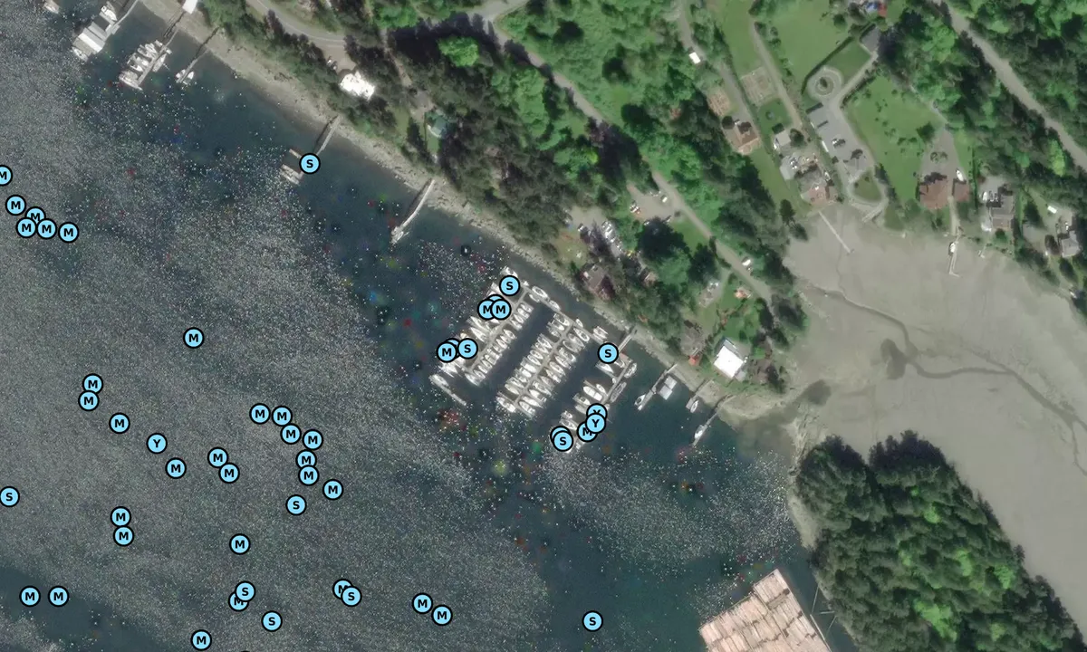 Satelite image of Page Point Inn and Marina